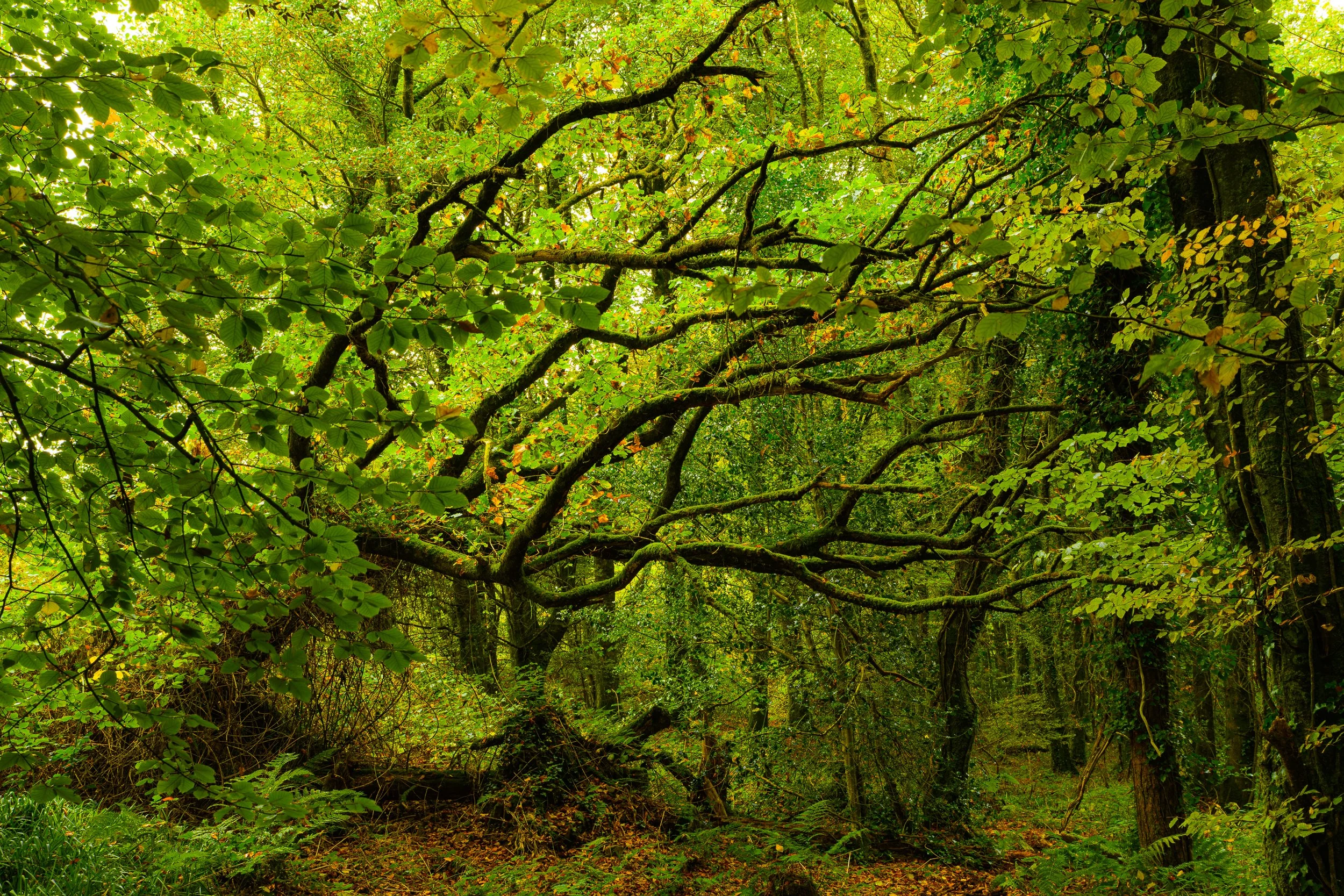 untitled-850063.jpg