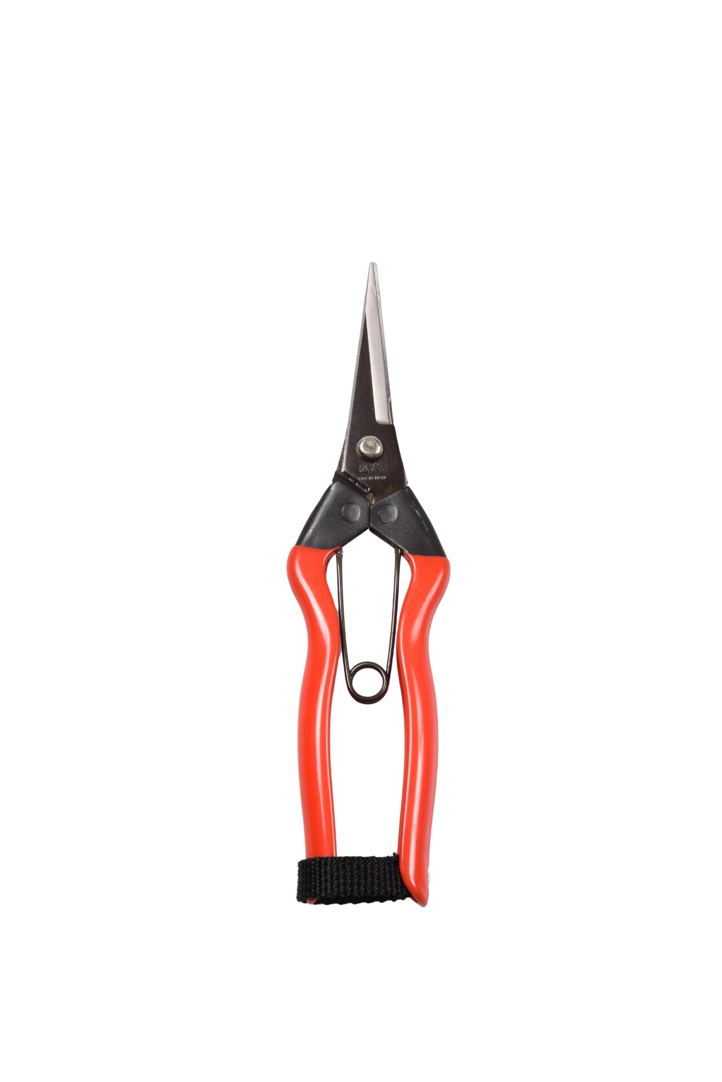 DSC_0730 - 編集済み.png