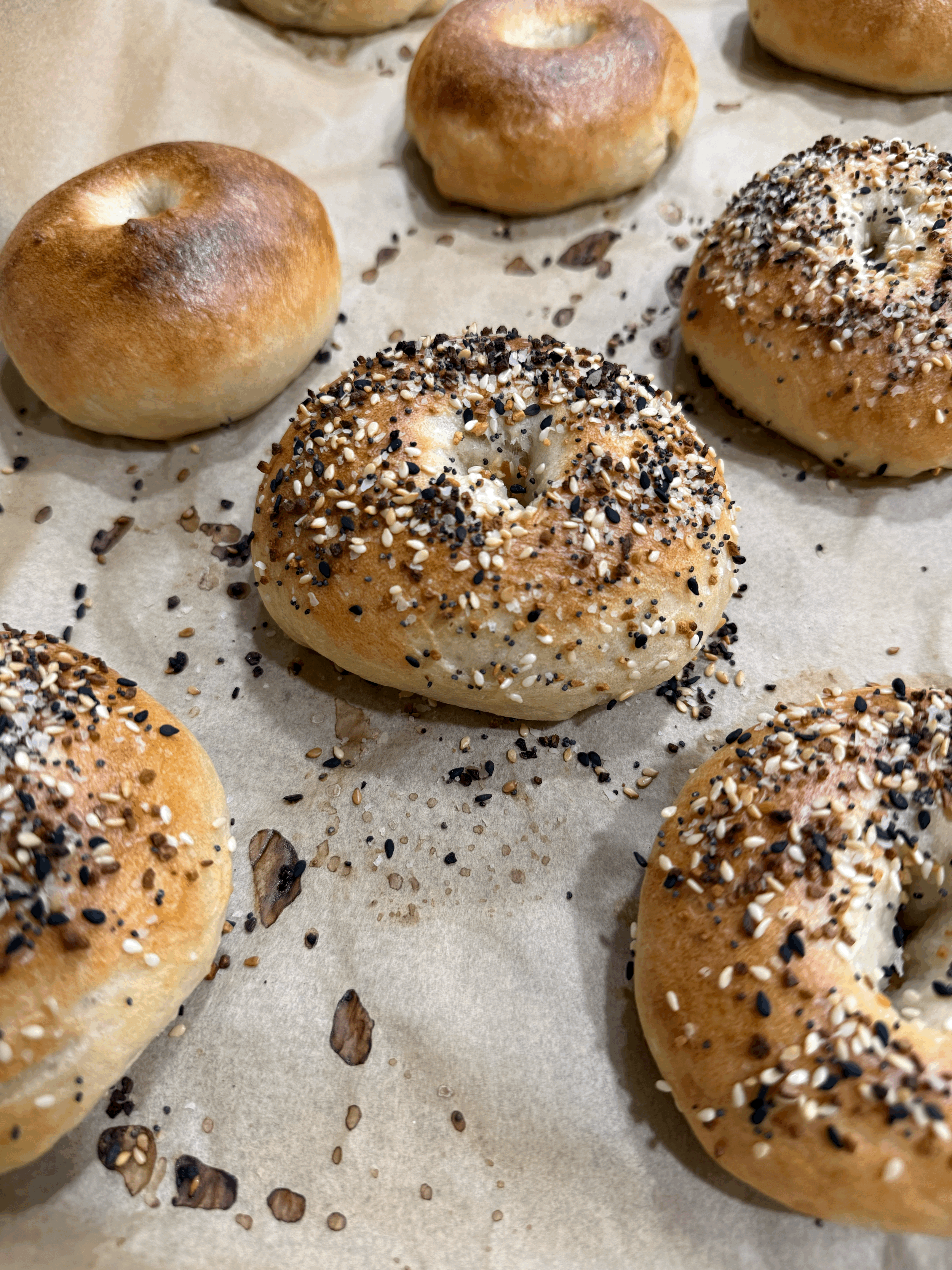 Sourdough Bagels