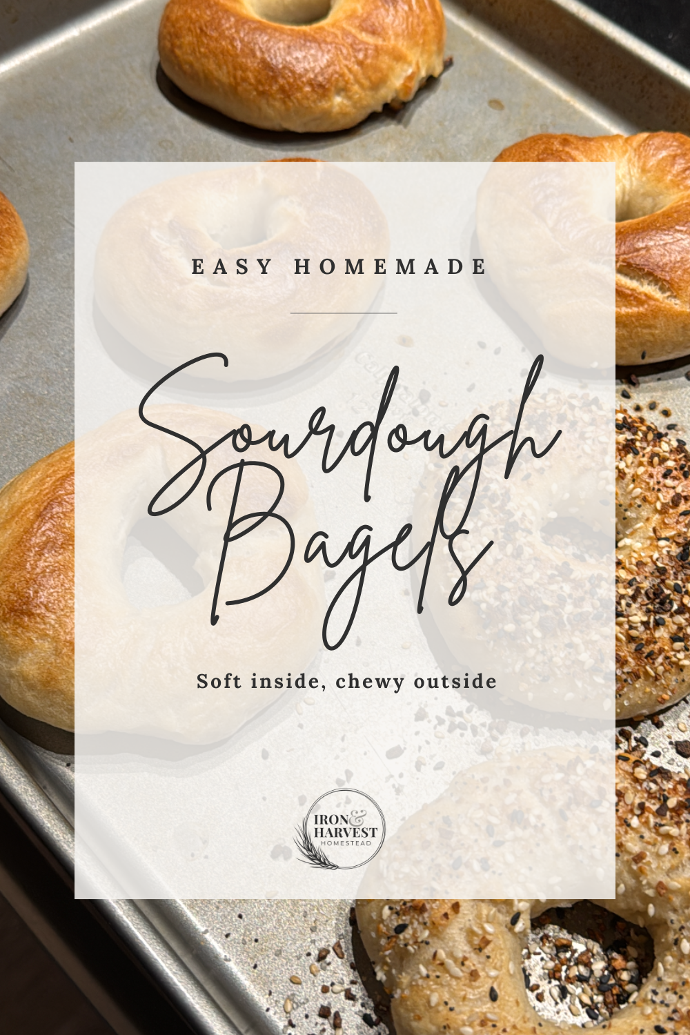 easy sourdough bagel recipe soft chewy homemade bagels