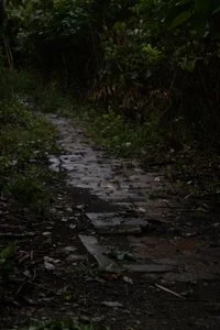 07-untitled2025.jpg