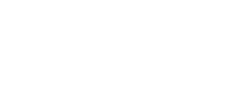 The Plug - NYC's #1 Dispensary