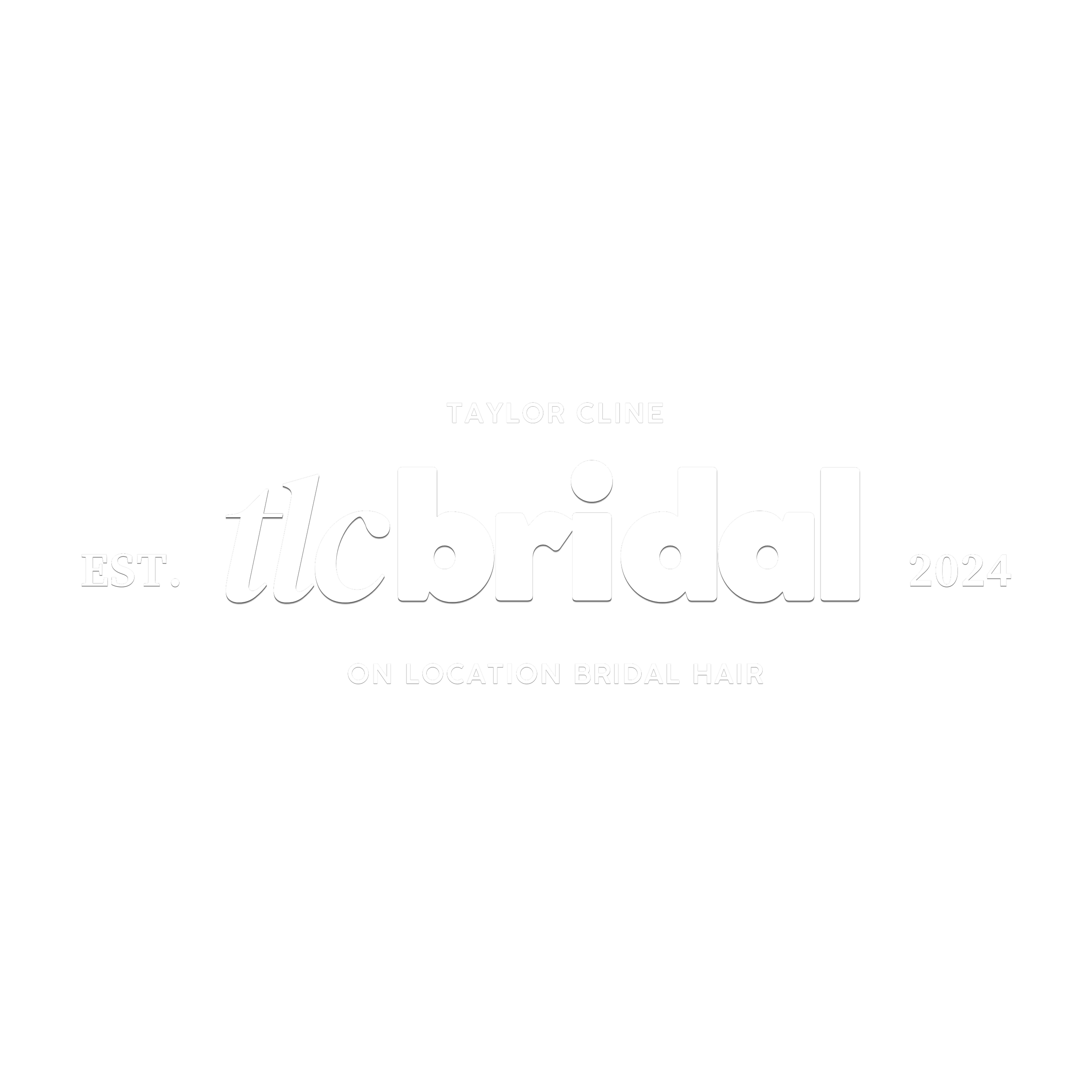 TLC Bridal on location hair in Levittown, Pa. Taylor Cline, Bridal glam waves, timeless bridal hair, bridal bun, luxury bridal hair, bridal for brides based in Levittown, Pa