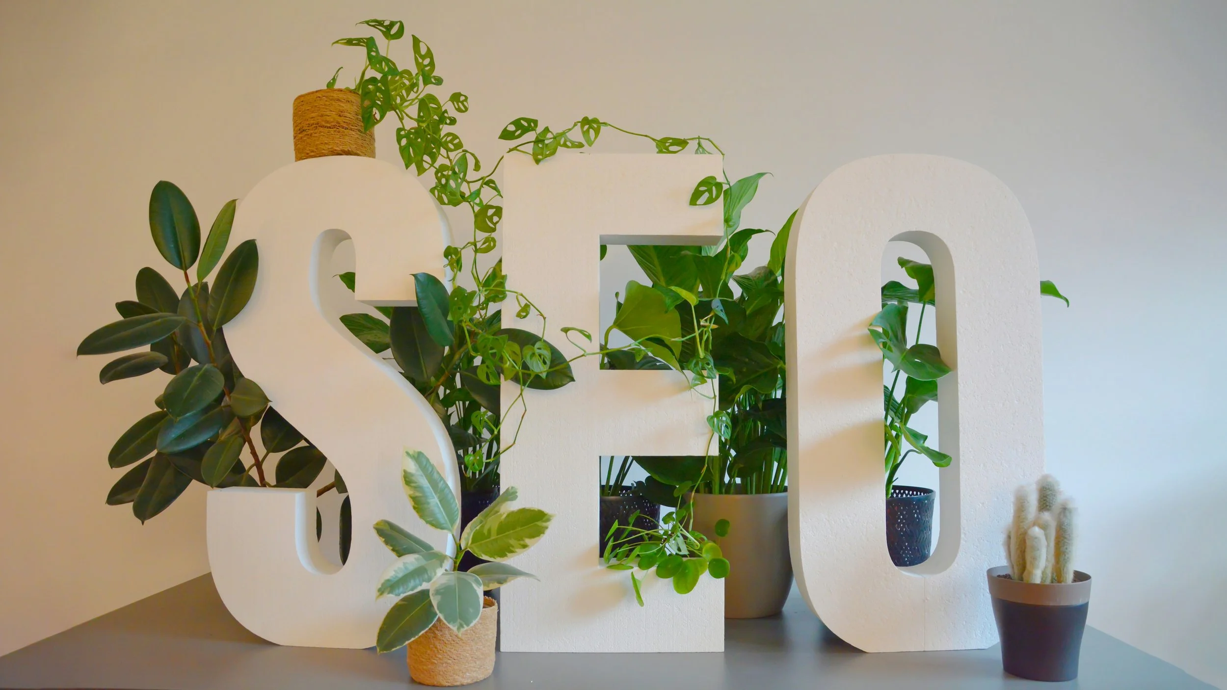 Decorative white letters spelling 'SEO' arranged among potted green plants, with a beige wall in the background.
