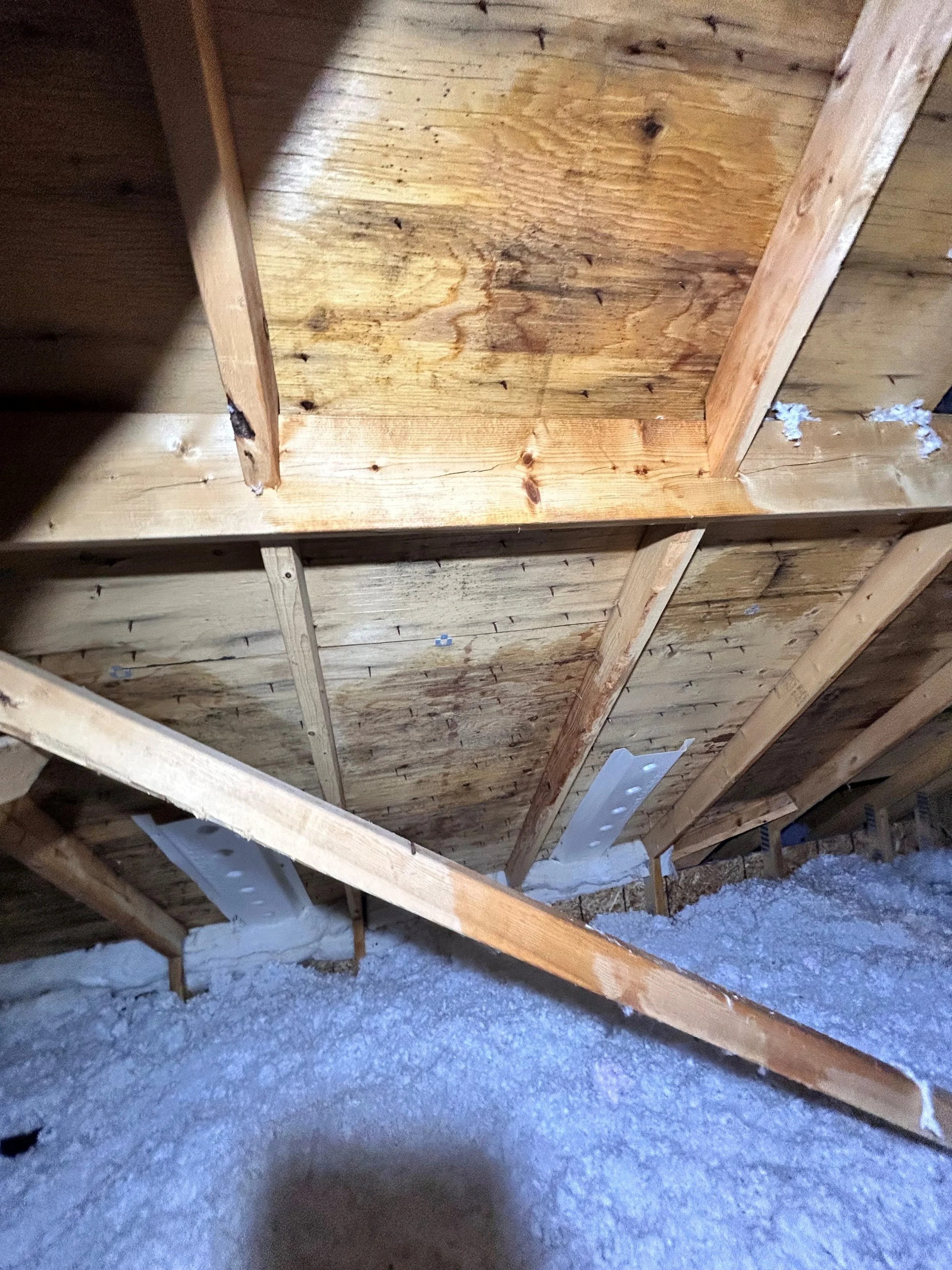 View of the underside of a ceiling with exposed wooden beams and insulation, showing construction in progress.