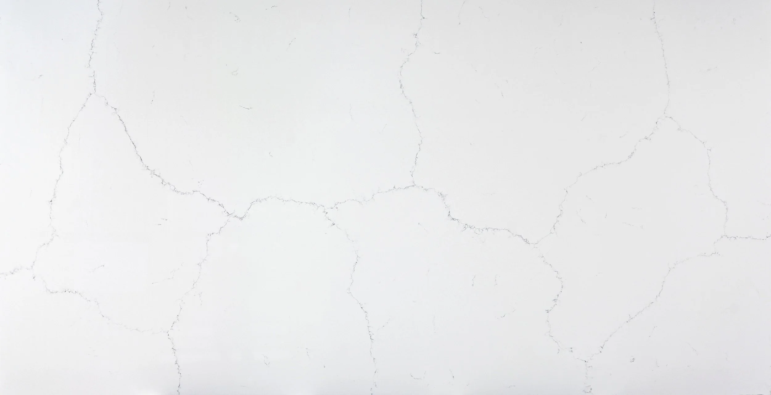 R3019.jpg