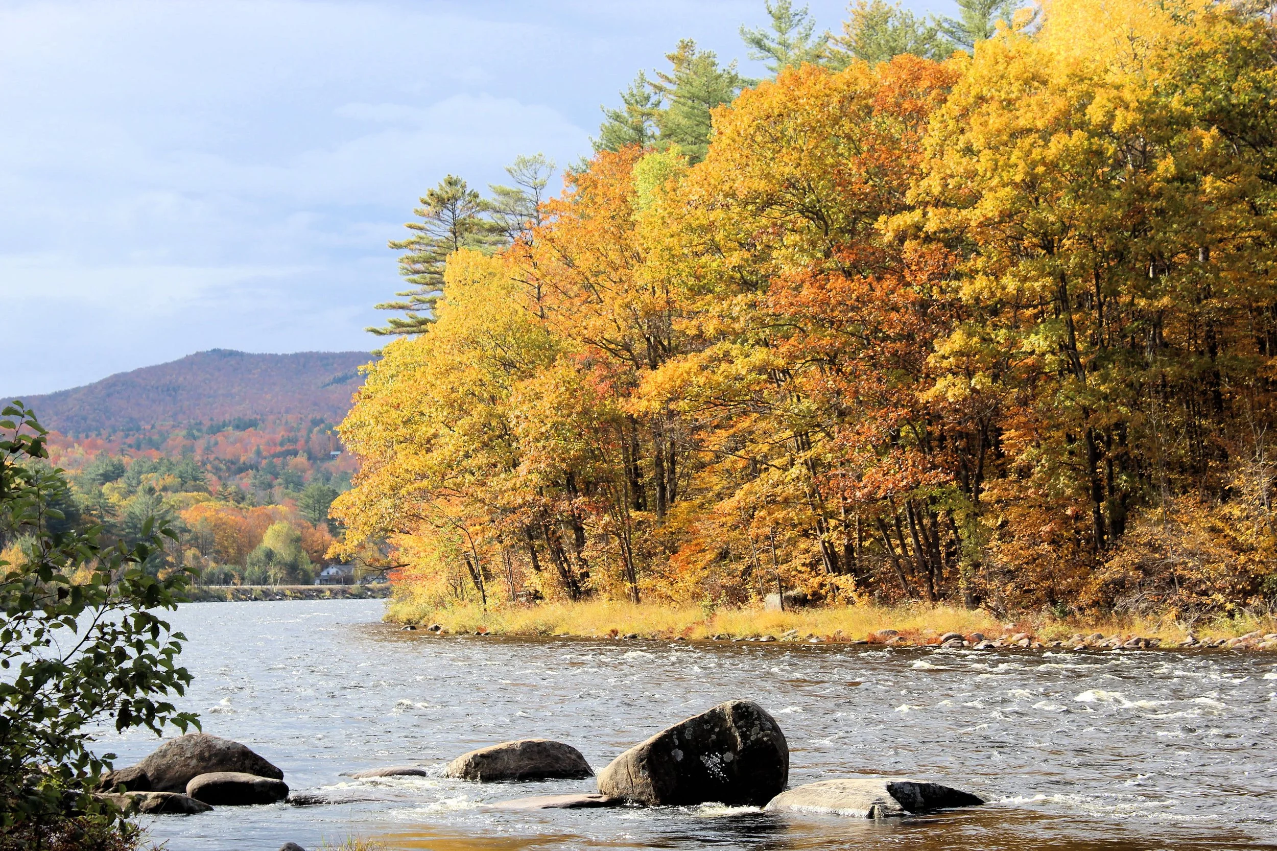 A jutting section of the Hudson River with trees boasting golden leaves.