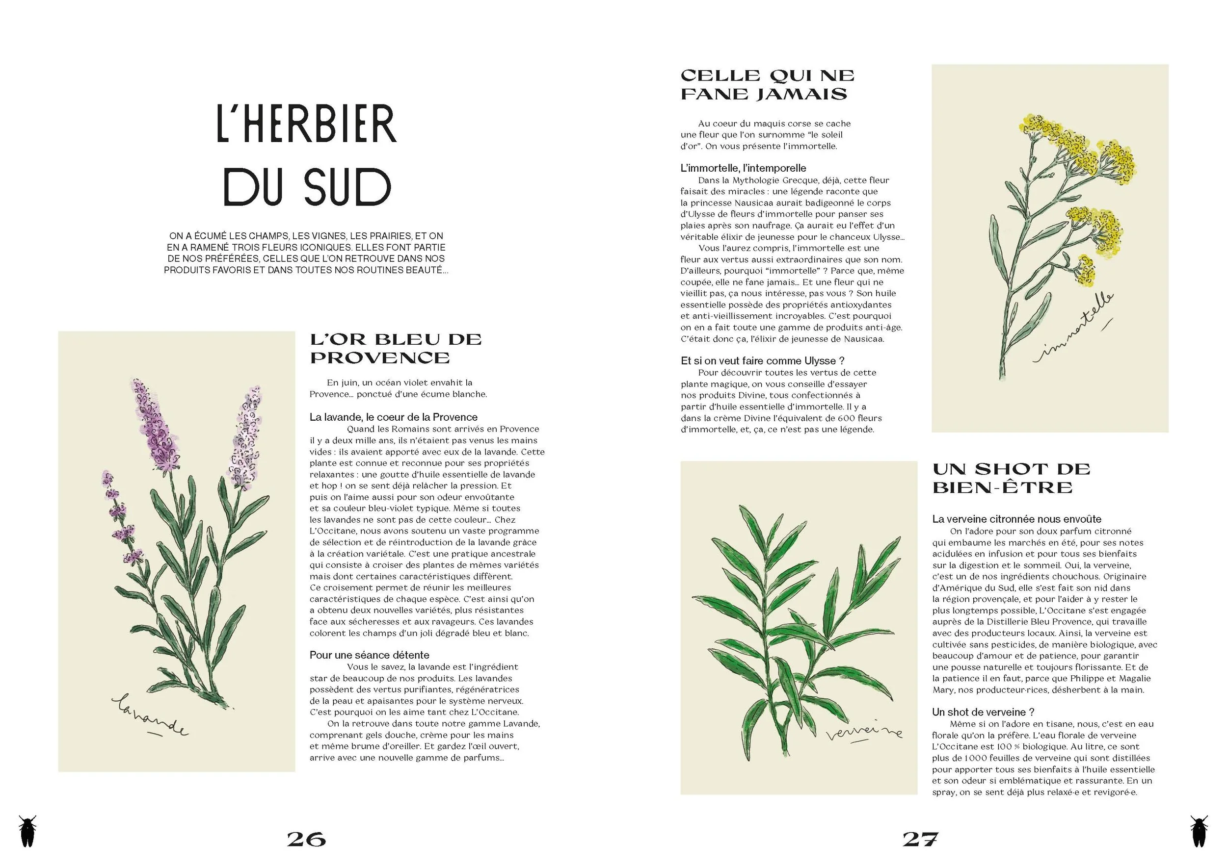 L'occitane_Planches 14.jpg