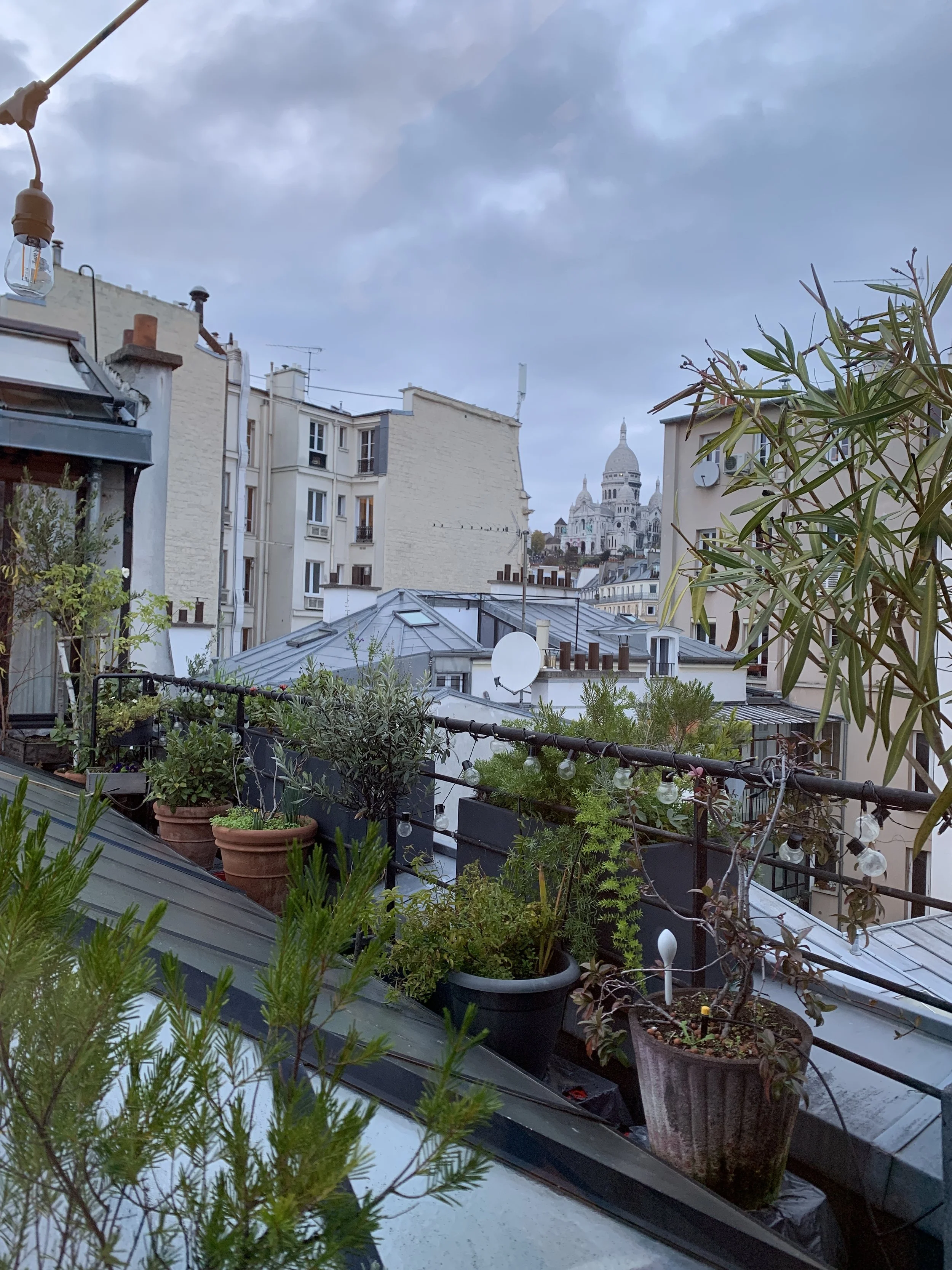 My Little Paris / projets édito