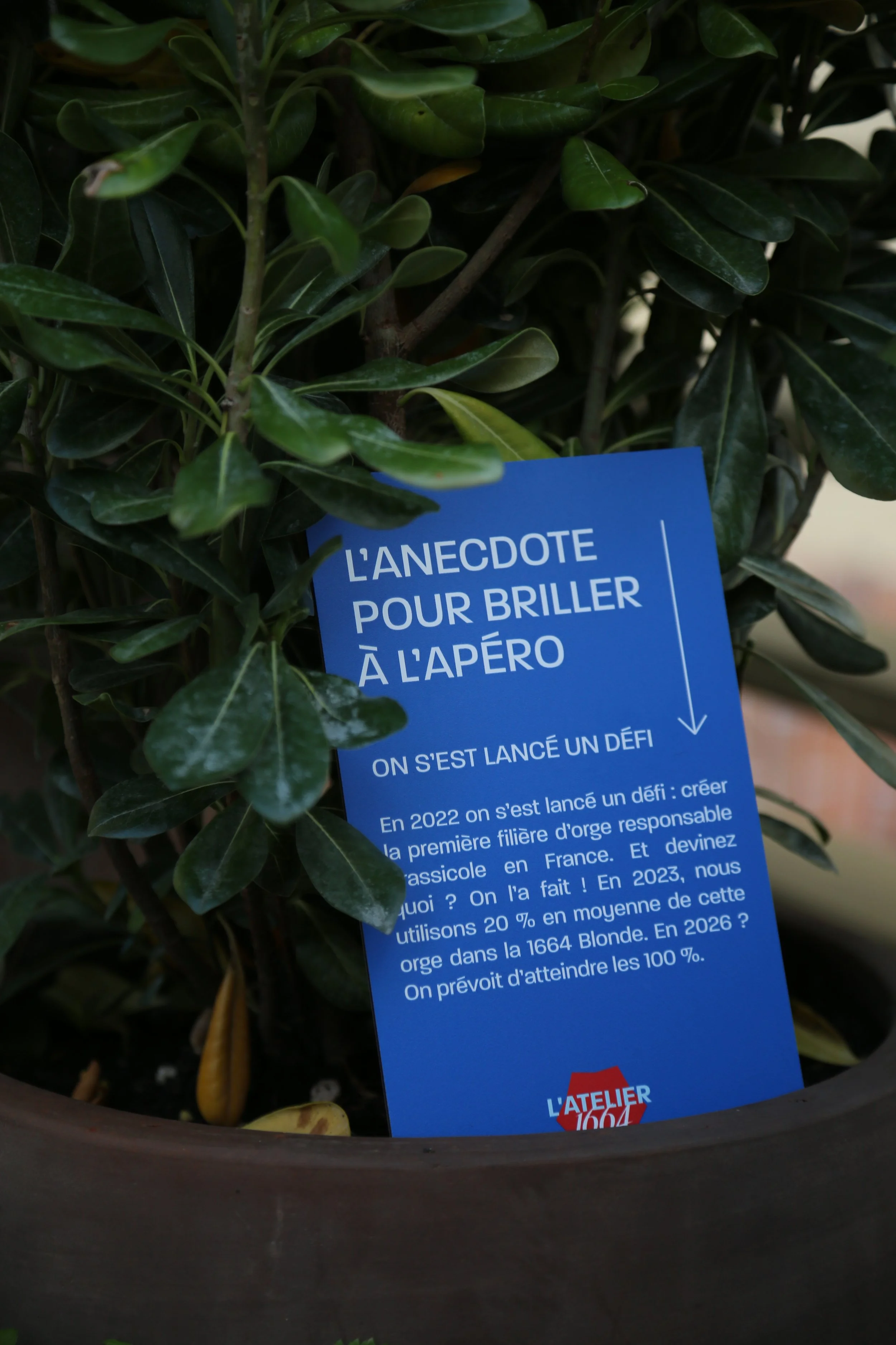 Anecdotes cachées dans la végétation de l'événement