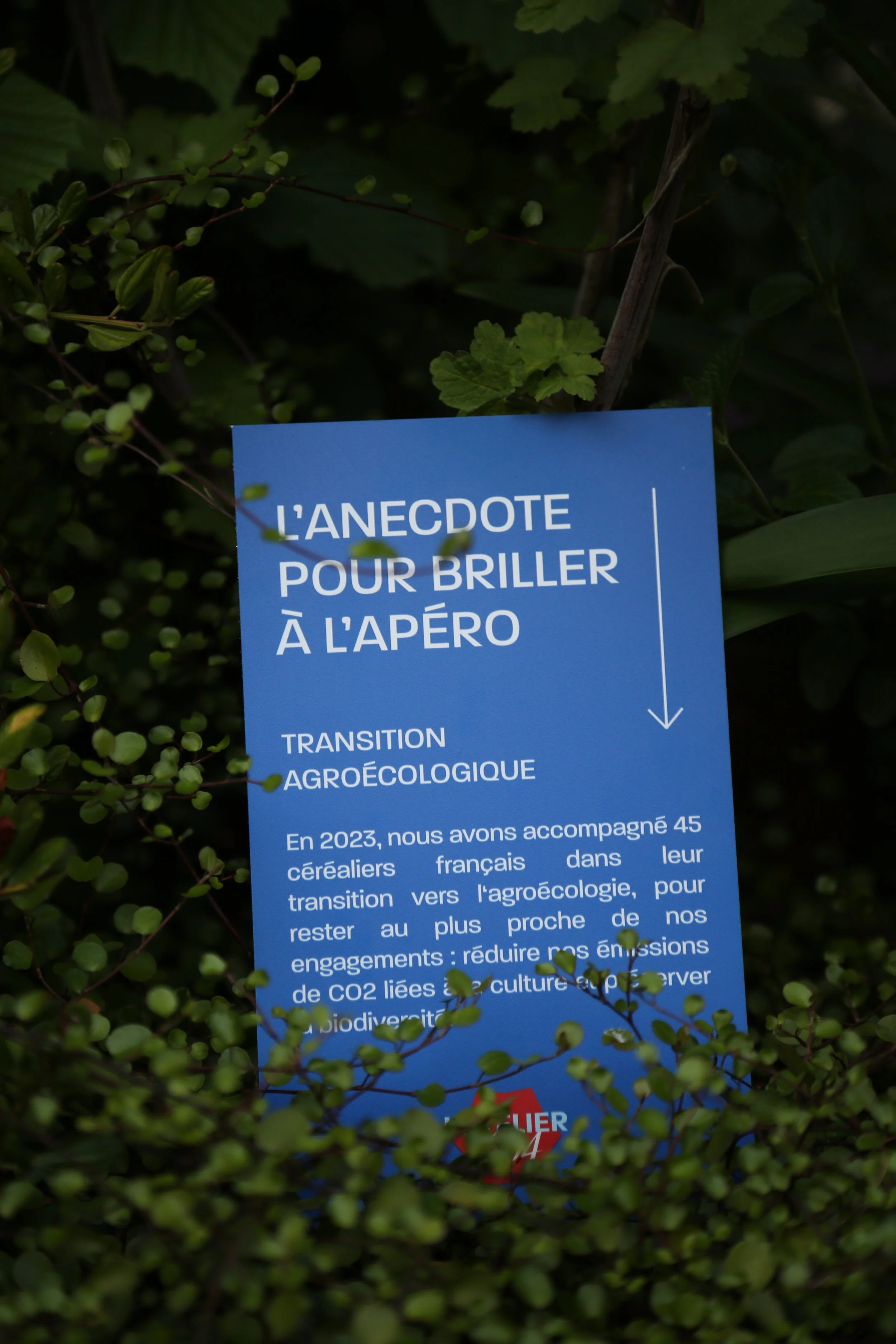 Anecdotes cachées dans la végétation de l'événement