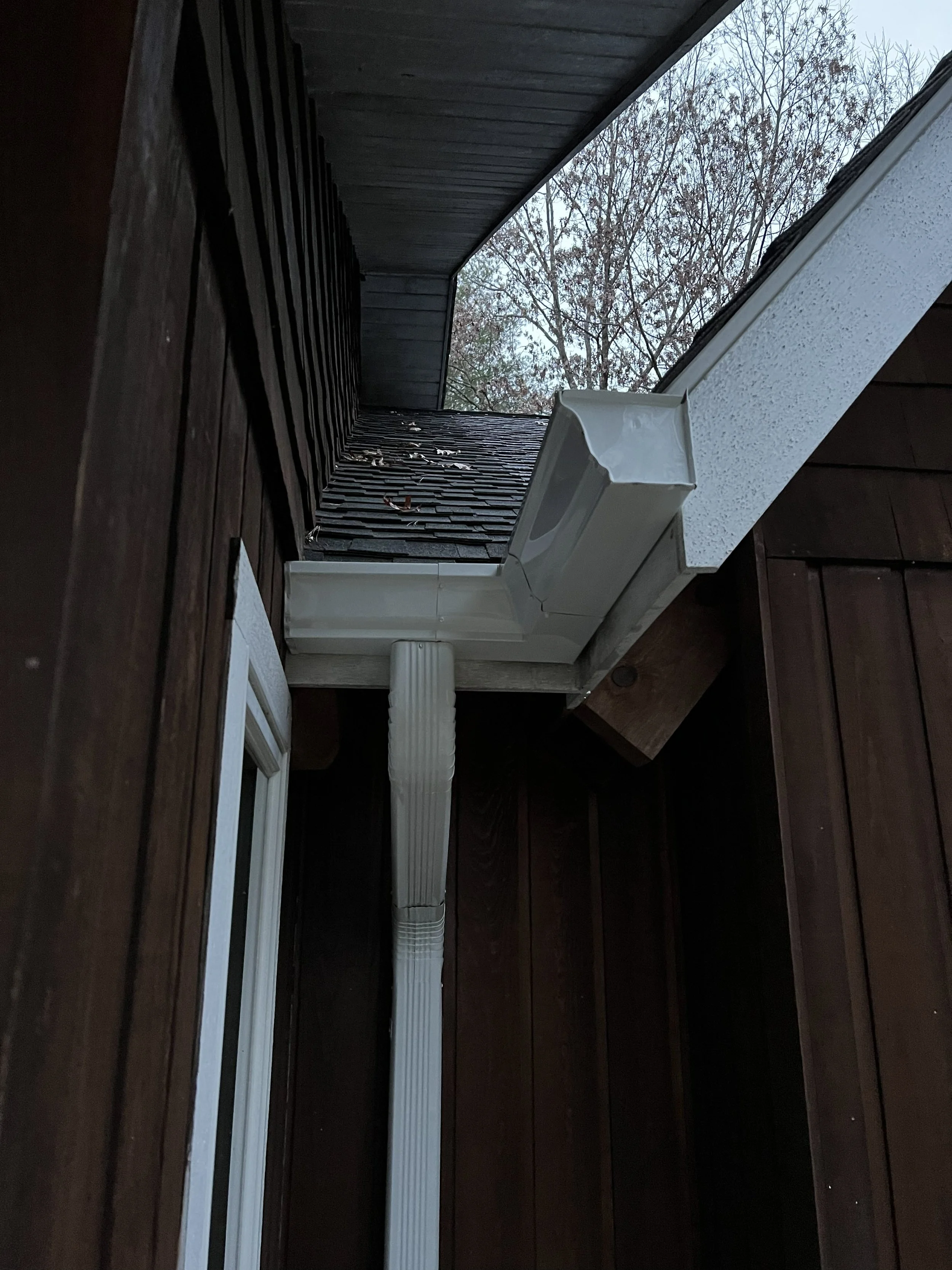 View looking up at the corner of a house showing a white gutter, brown wooden siding, and a window with a white frame. Trees with bare branches are visible through the sky in the background.
