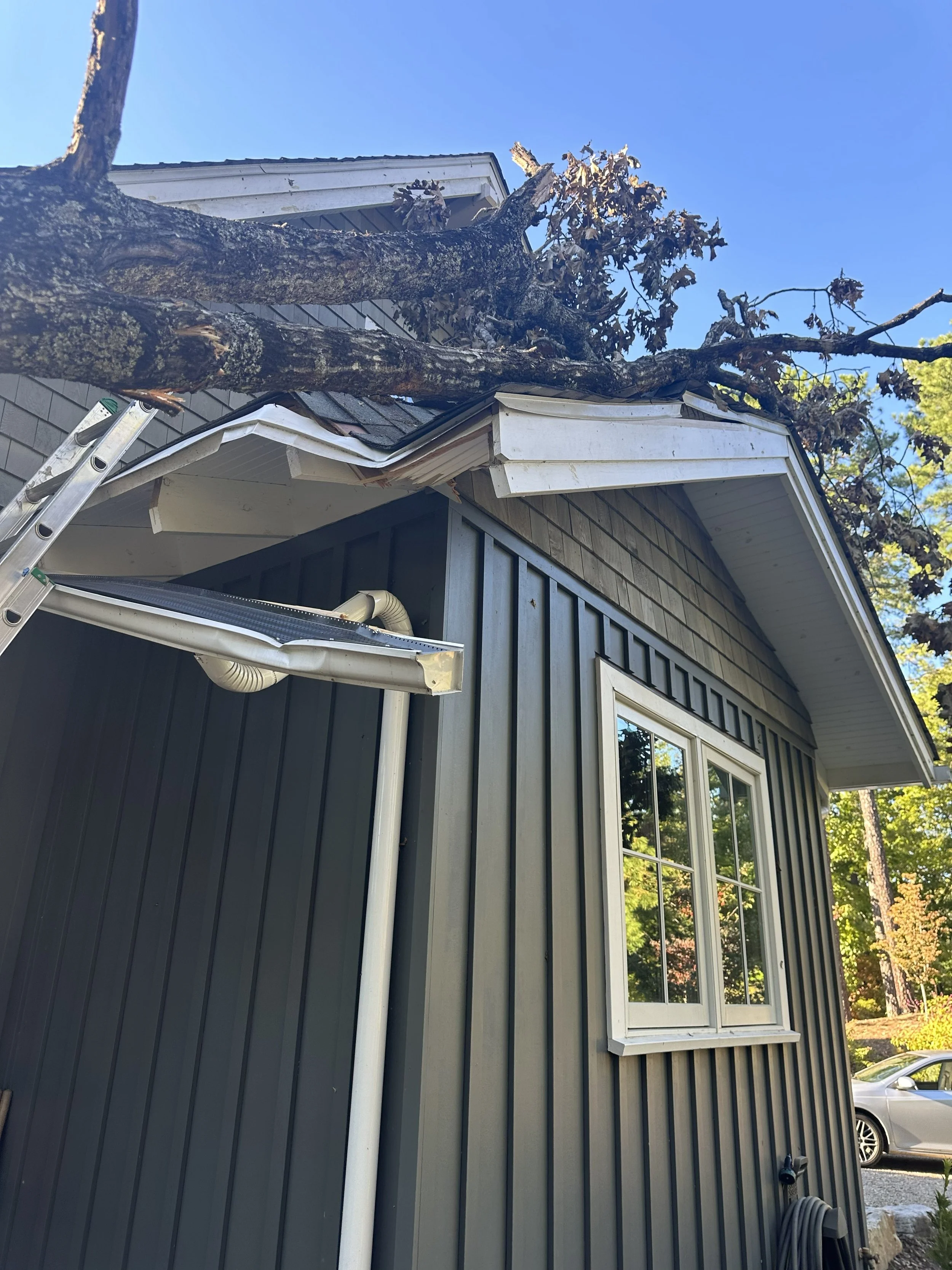 A fallen tree hangs over the edge of a house's roof, with a ladder leaning against the house near a gutter. The house has gray siding and large windows, with a backyard and trees in the background and a clear blue sky.