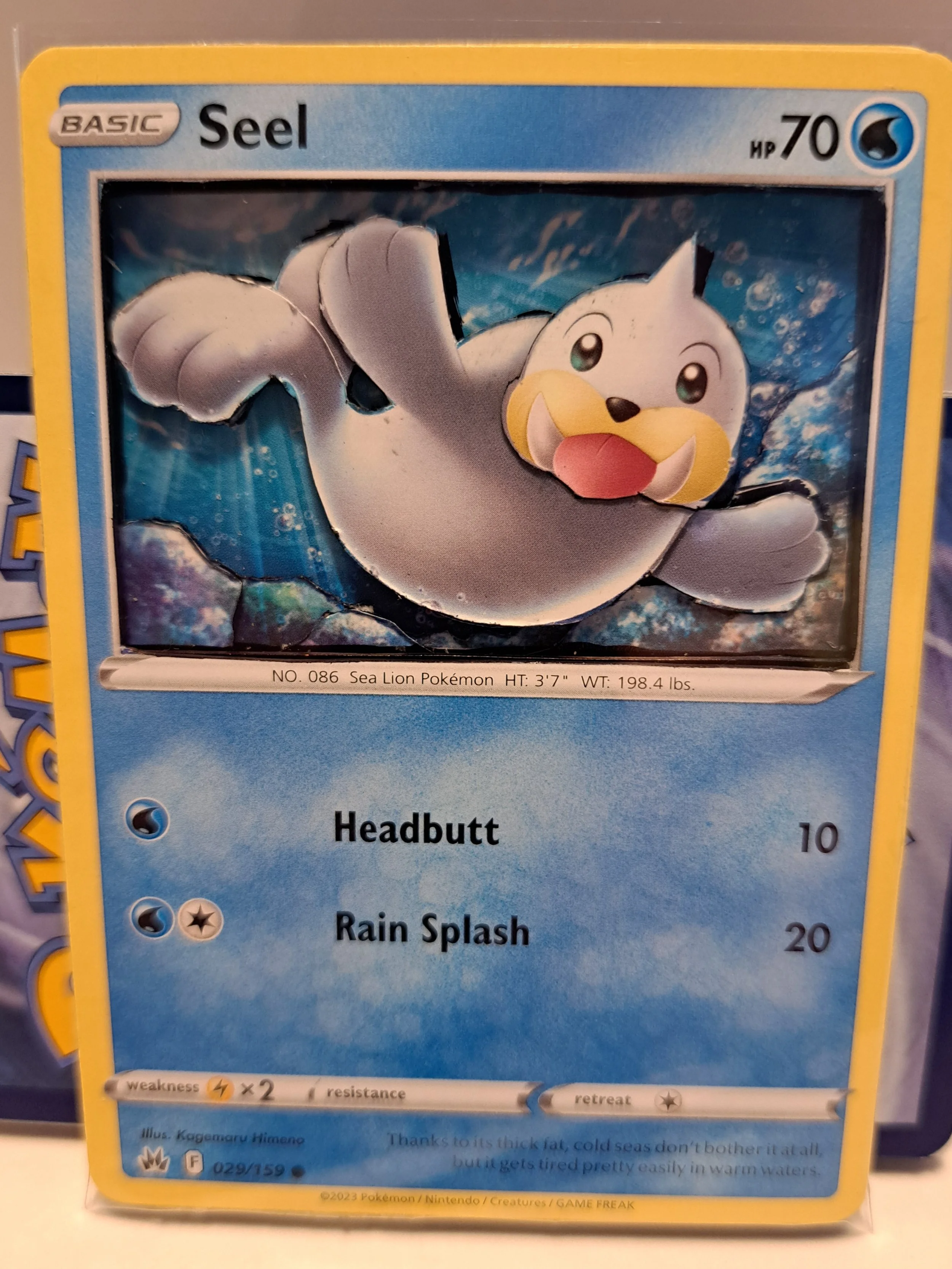Seel 1.jpg