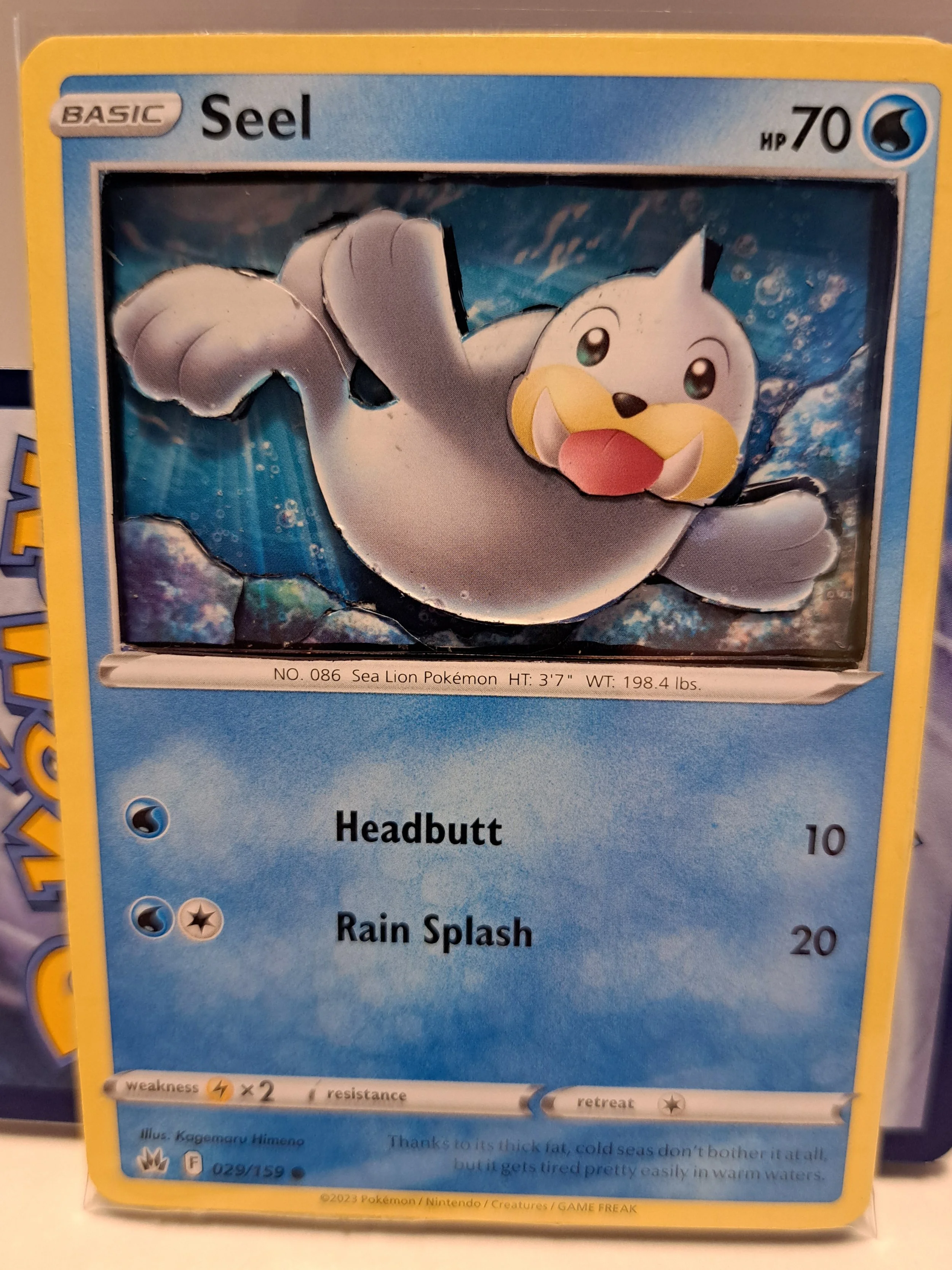 Seel 2.jpg