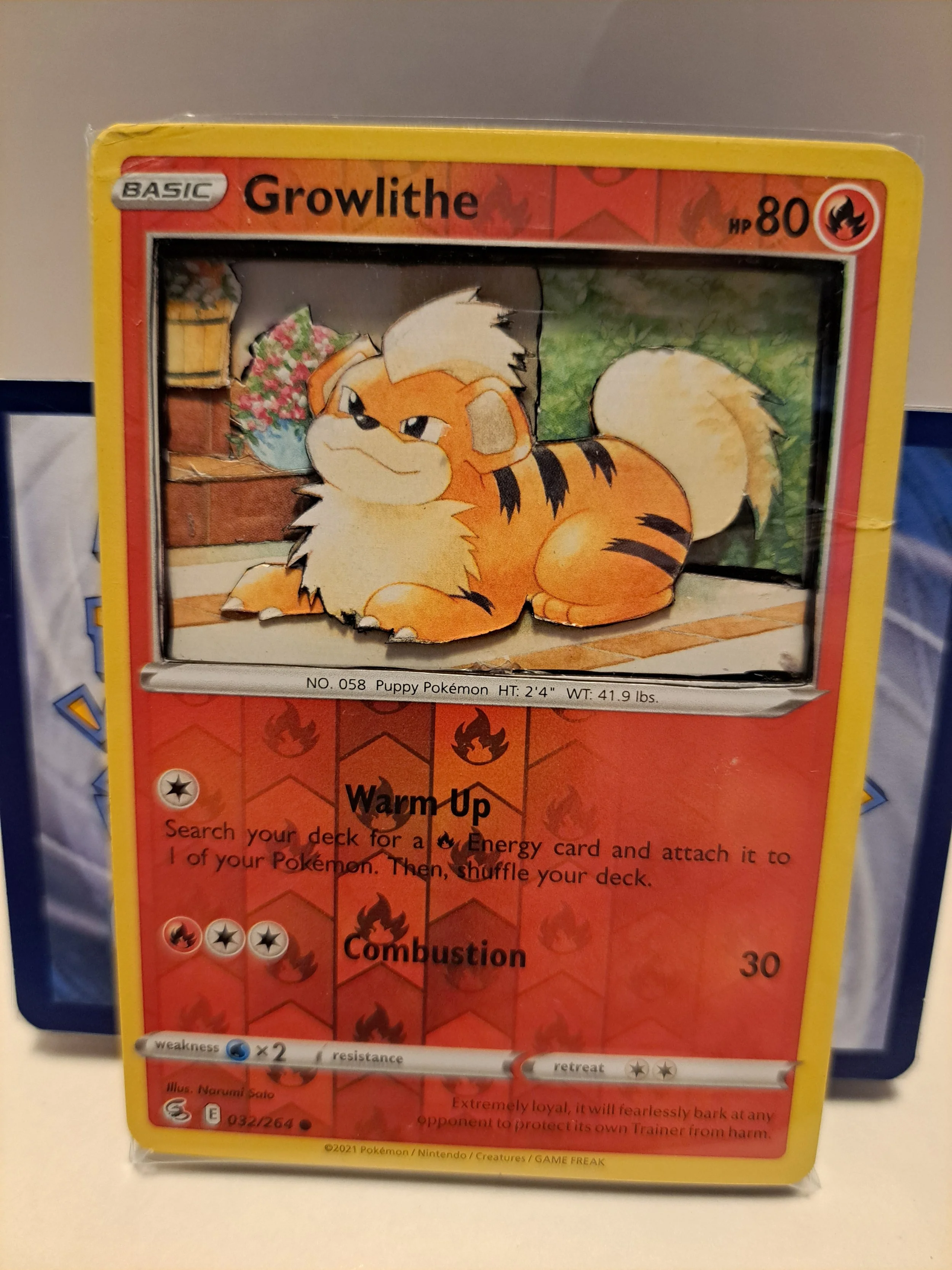 Growlithe 1.jpg