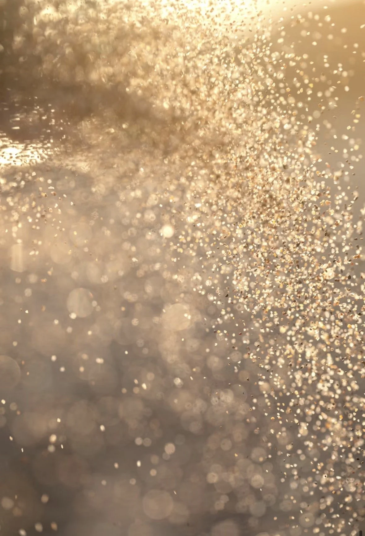 Gold Package: 1 x half a day