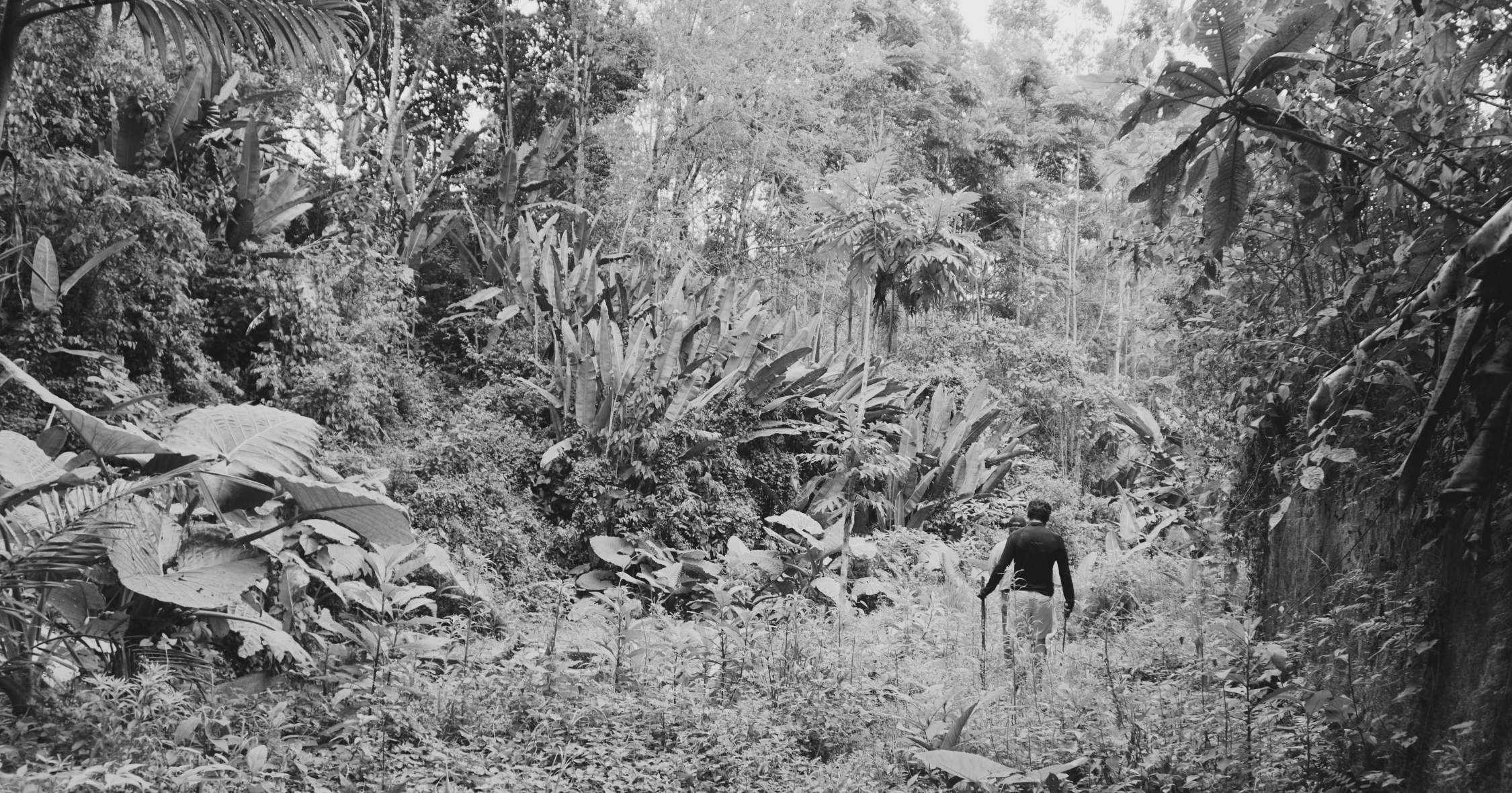 Collaborations and objects that extend the landscapes and stories behind what we share.