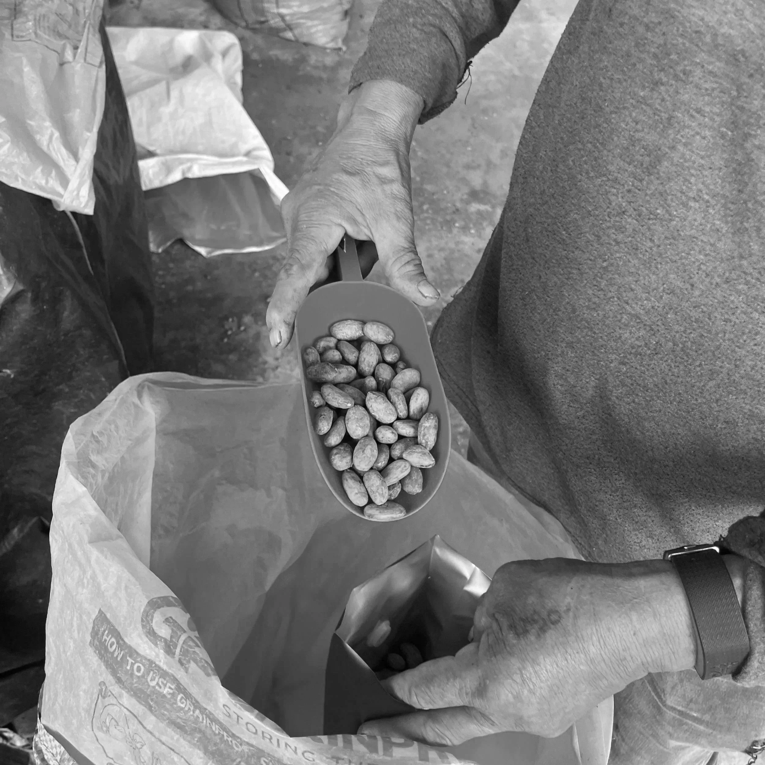 From beans to chocolate, chosen for quality, craft, and context.