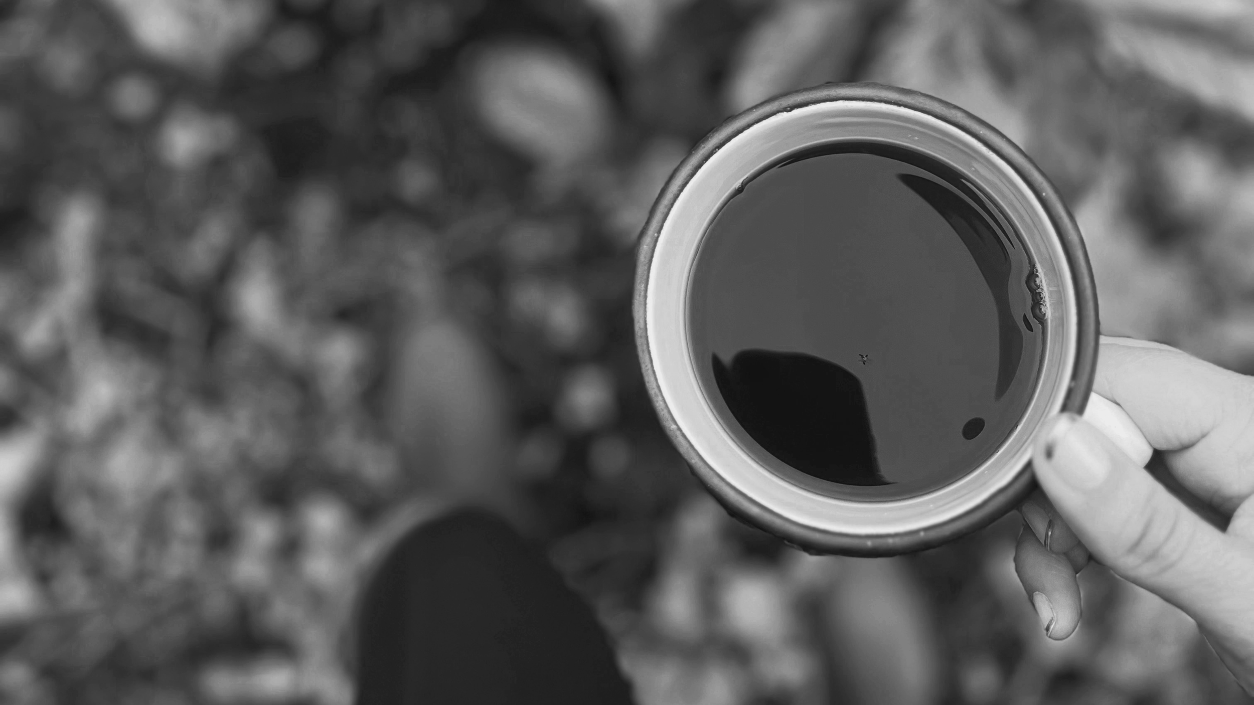 Curated coffees from Ecuador, available as roasted profiles and selected green lots for cafës, hospitality, and roasters.