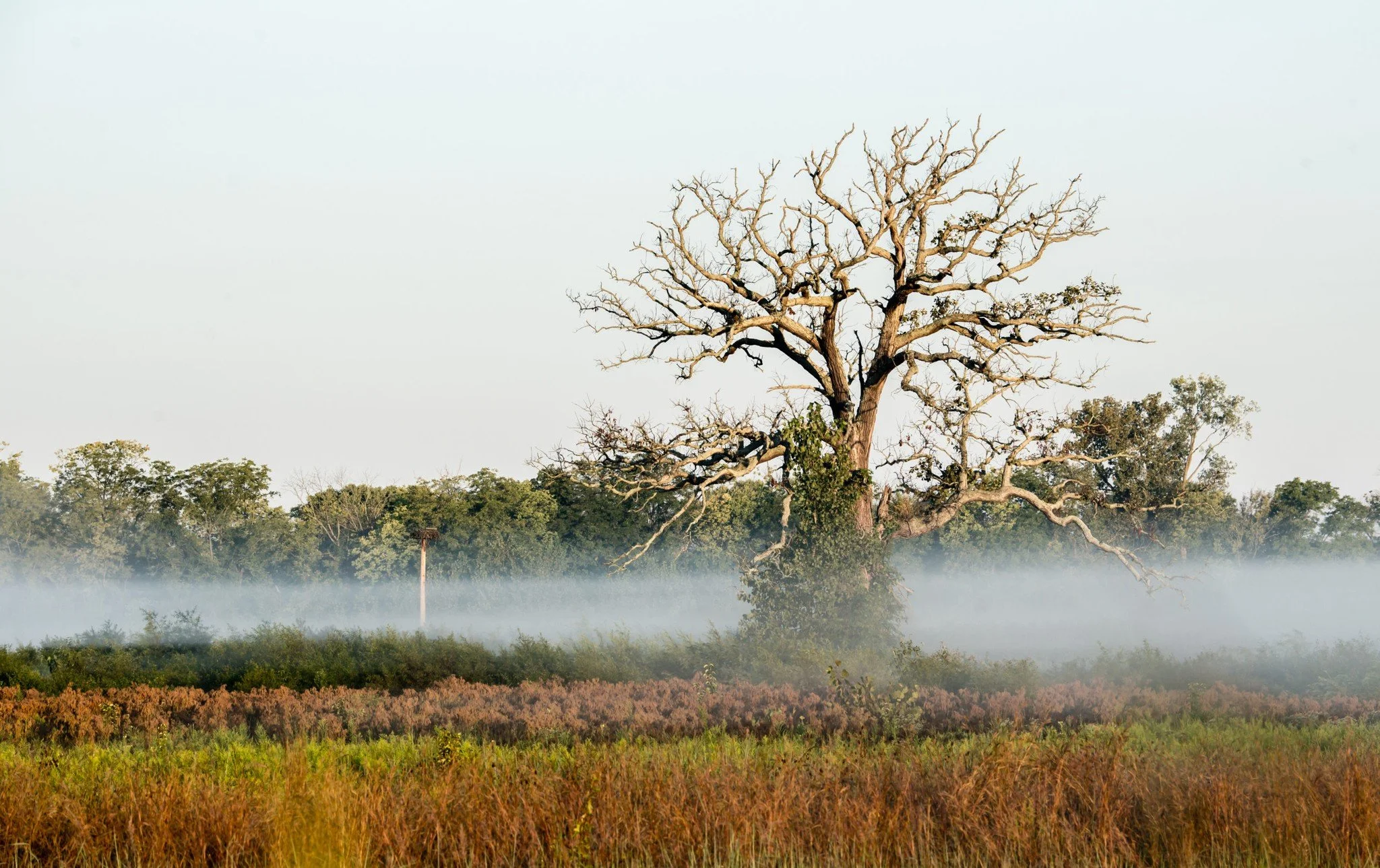 Pickerington Ponds Metro Park is perfect for peaceful walks and scenic views. Nature always feels close at Ecco Park Living. 🌾

#EccoParkLiving #MetroParks