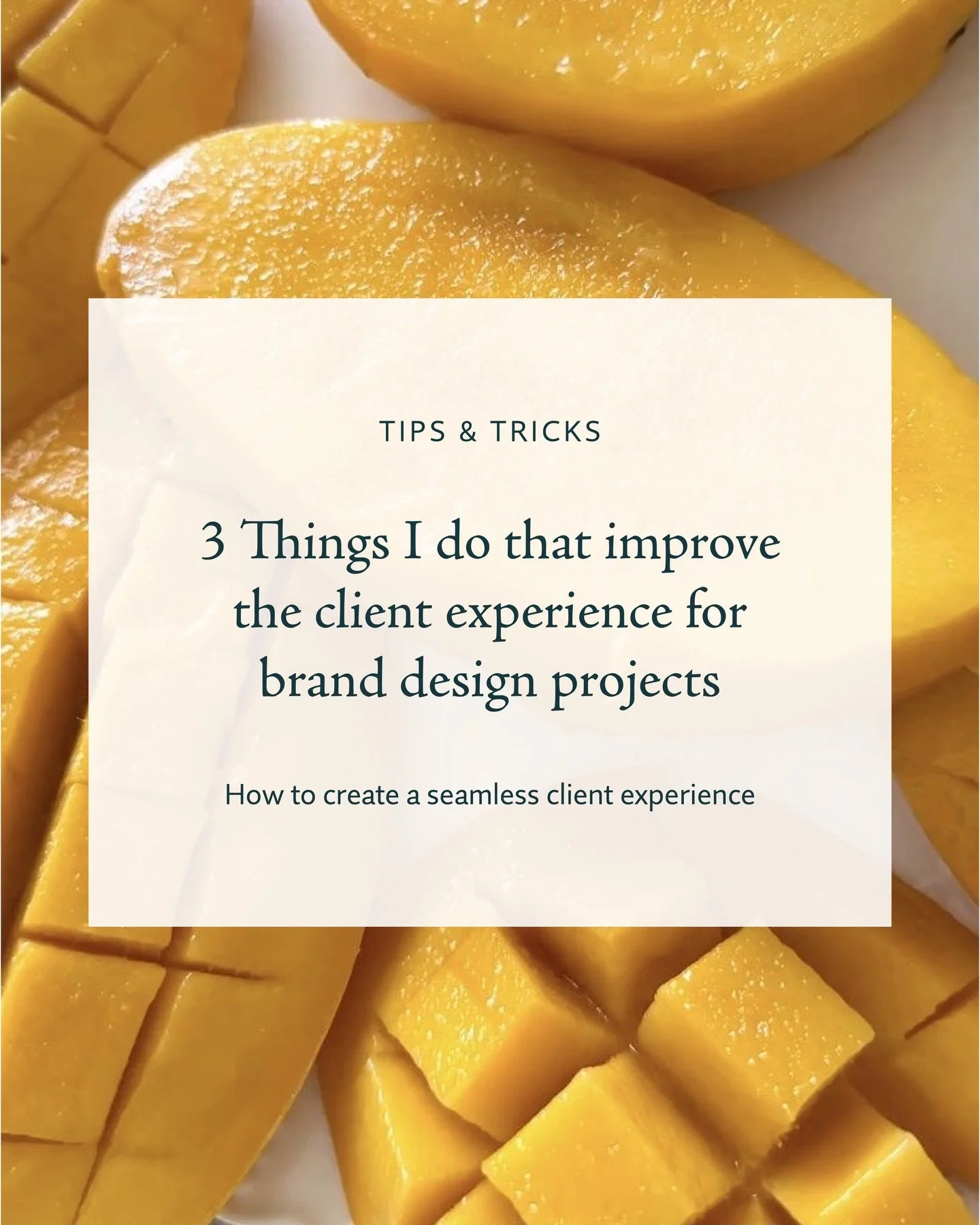 A lot of people think running a creative design studio is mostly about creativity.

And while creativity absolutely matters, one of the biggest things clients actually remember from a project is how the process felt.

Was the project organized?
Was c