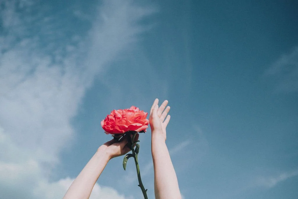 A person holding a pink flower up towards a blue sky with some clouds.