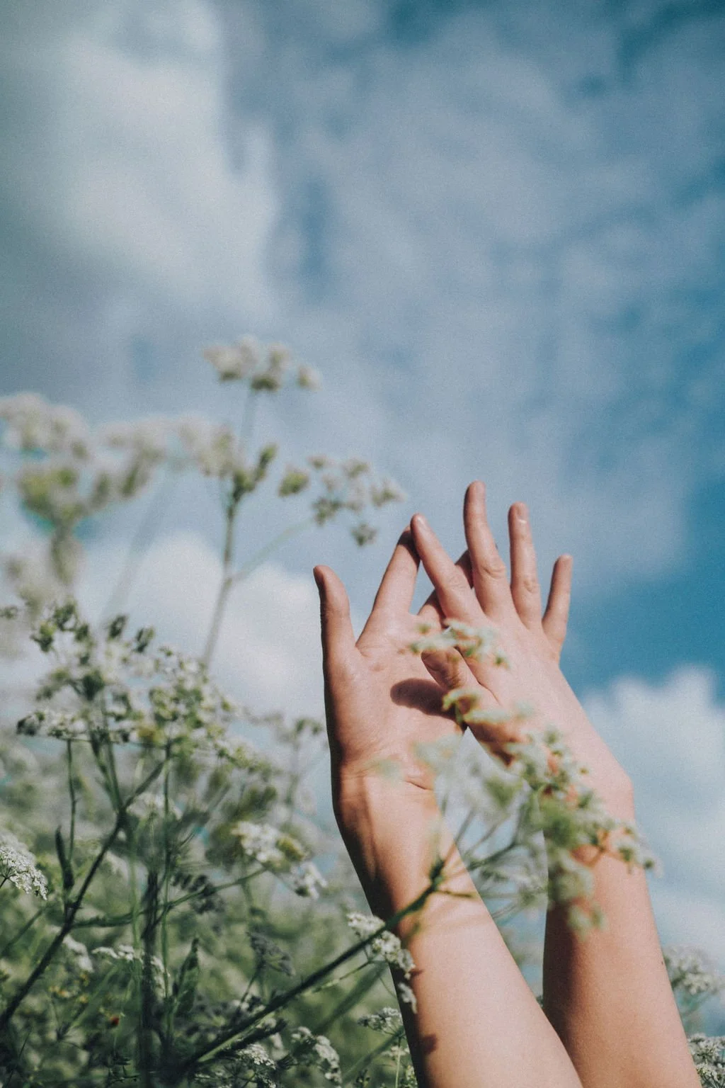 Two hands reaching up amidst white wildflowers under a partly cloudy sky.