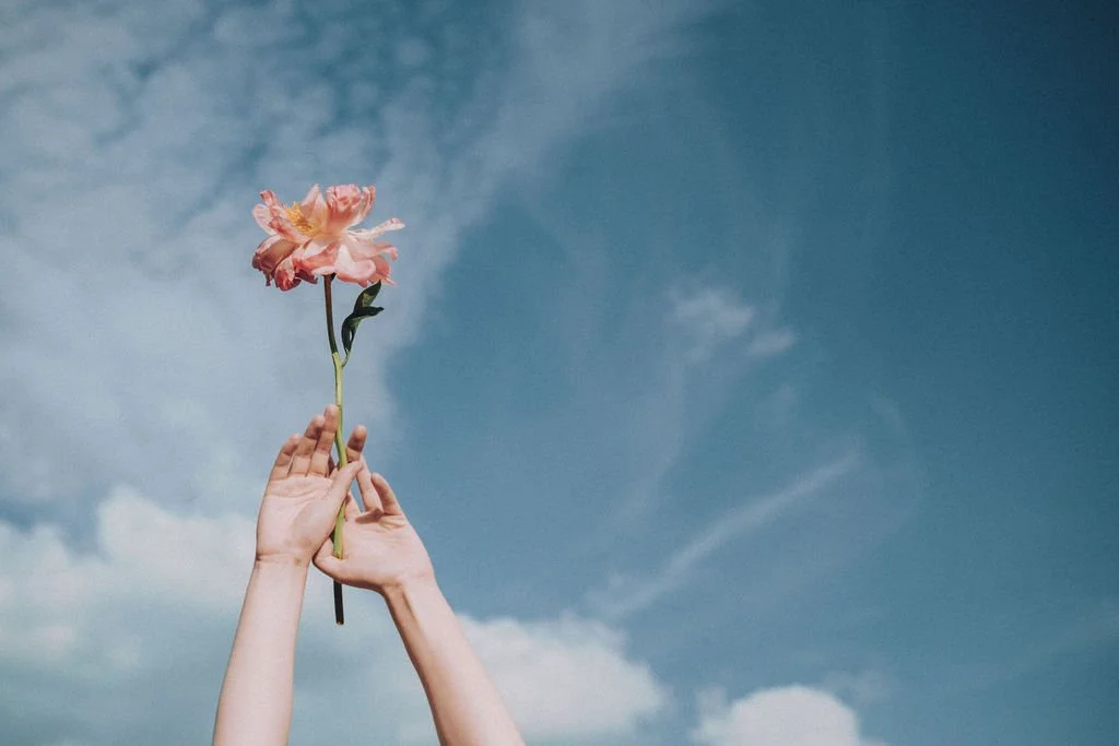 Two hands holding a pink flower against a cloudy blue sky.