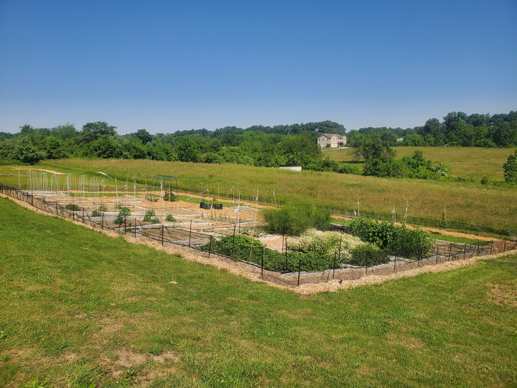 A small garden plot with various plants, surrounded by a black fence, in a grassy field with a landscape of rolling green hills and a house in the distance under a clear blue sky.