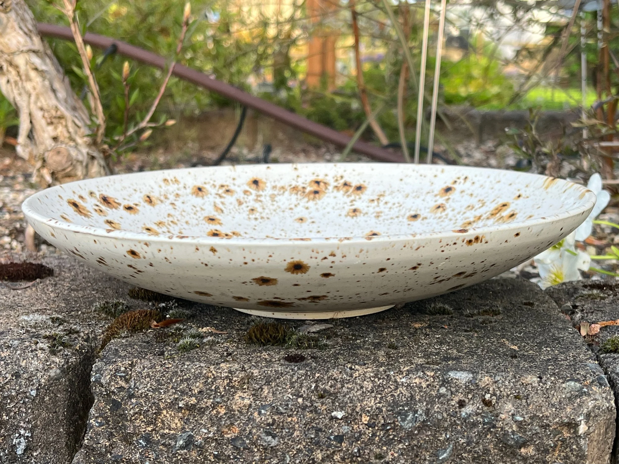 A ceramic bowl with a brown speckled glaze surrounded by green foliage and plants.