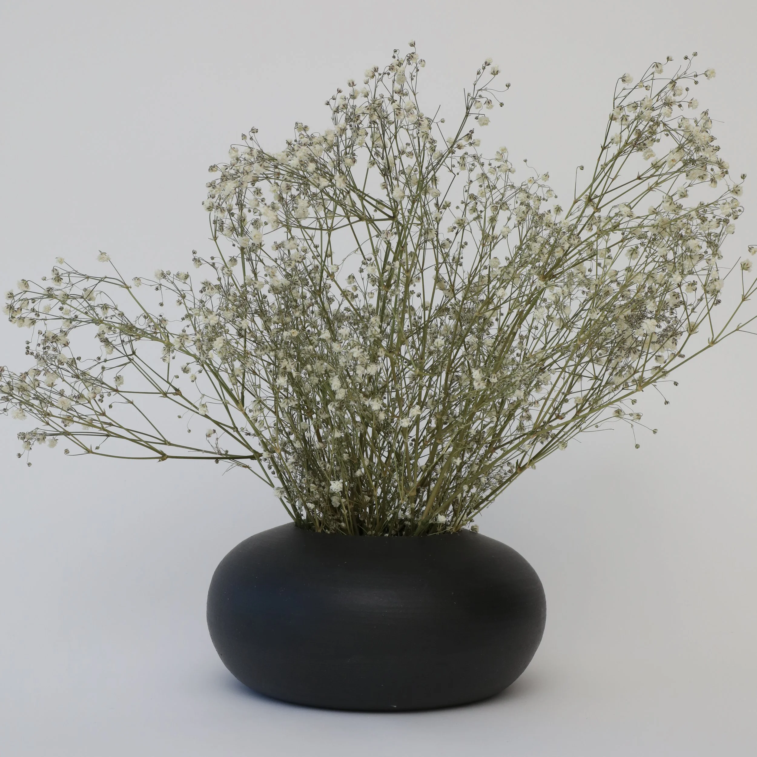A black round vase holding a bouquet of white baby's breath flowers against a plain white background.