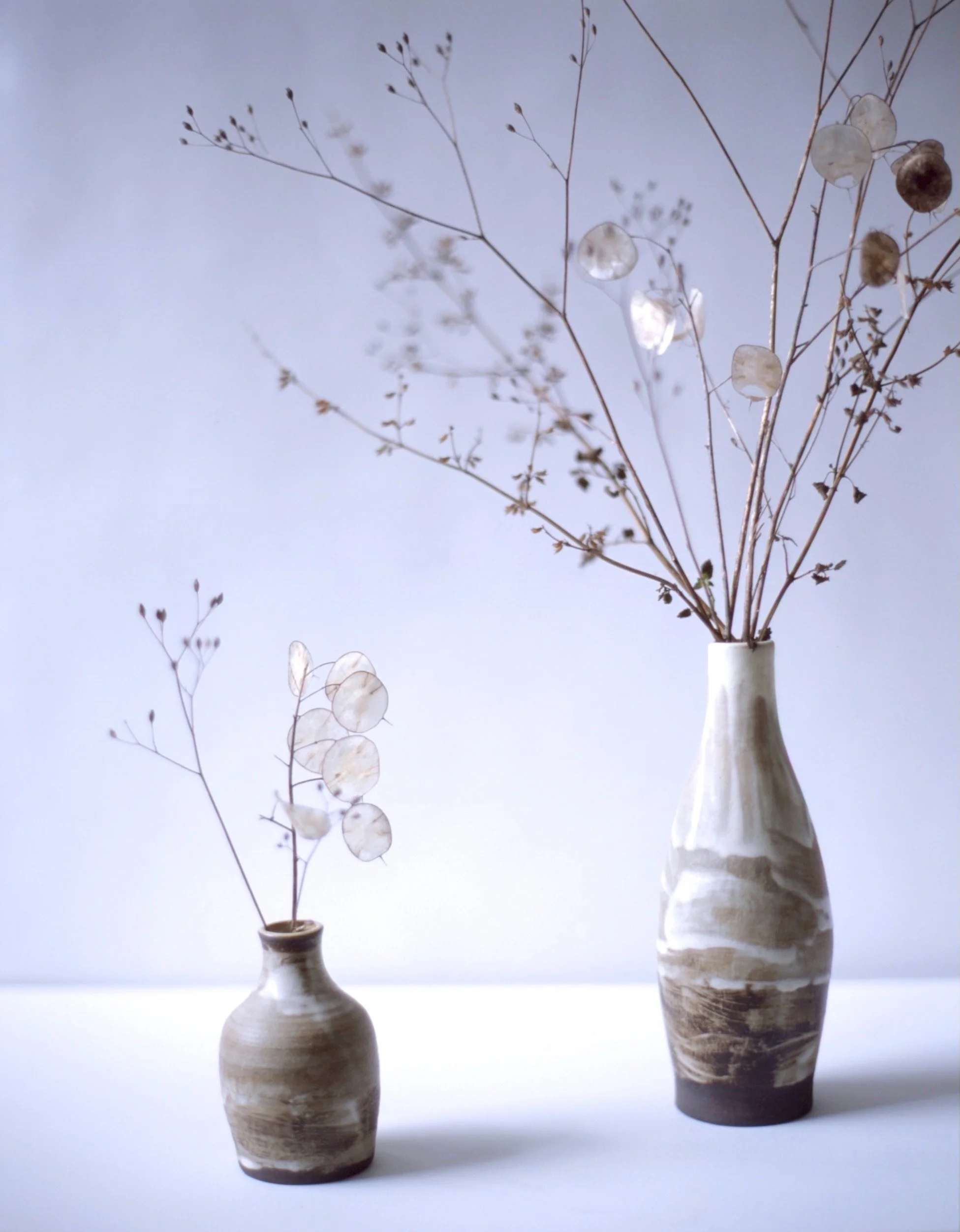 Two ceramic vases with dried branches and seed pods against a white background.