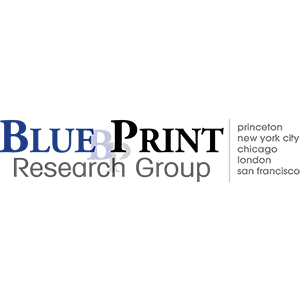 Logo for the Blue Brain Research Group, with a list of cities including Toronto, New York City, Chicago, Brooklyn, and San Francisco.