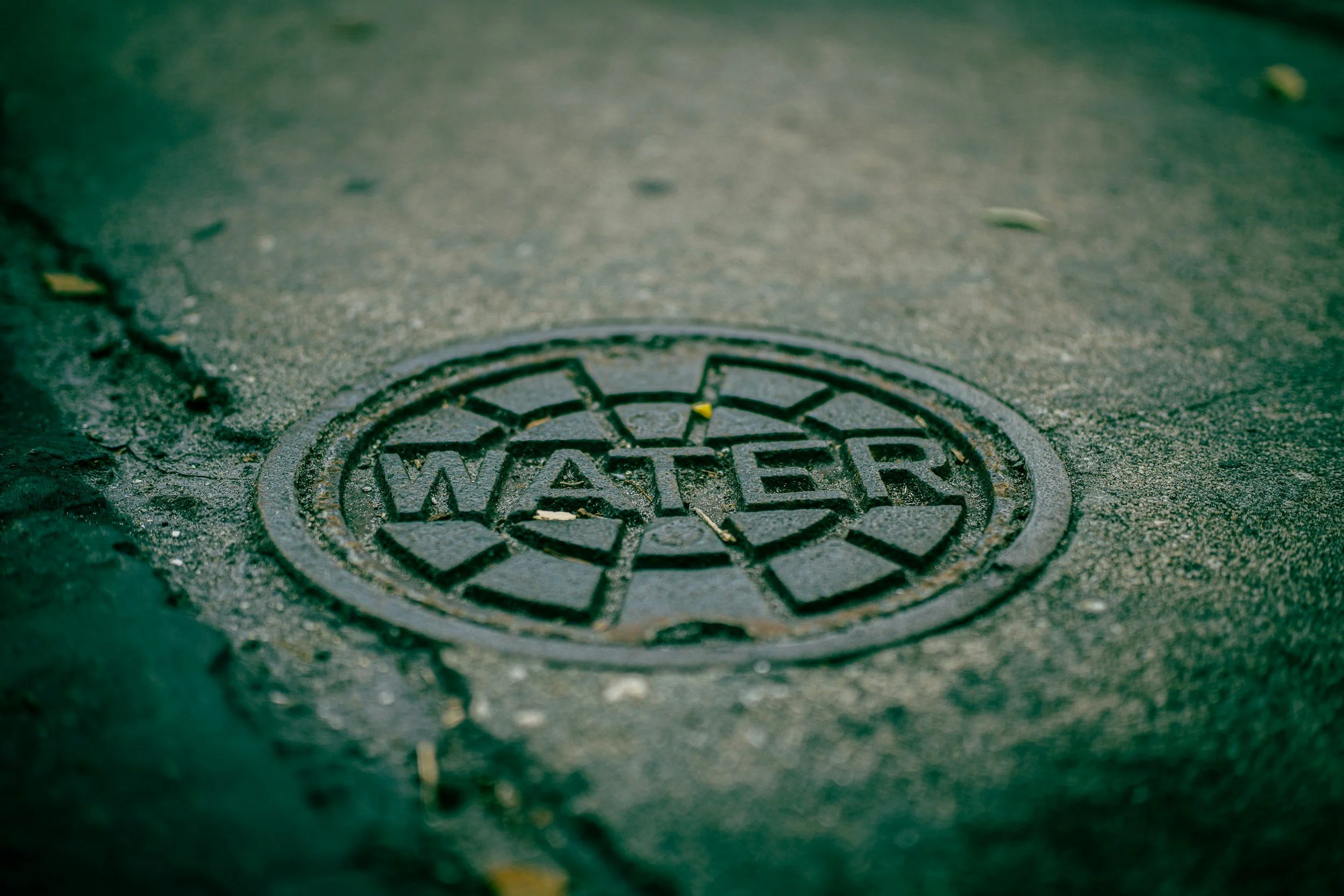 Close-up of a circular water drain cover labeled "WATER" on asphalt street surface, with scattered leaves and debris.