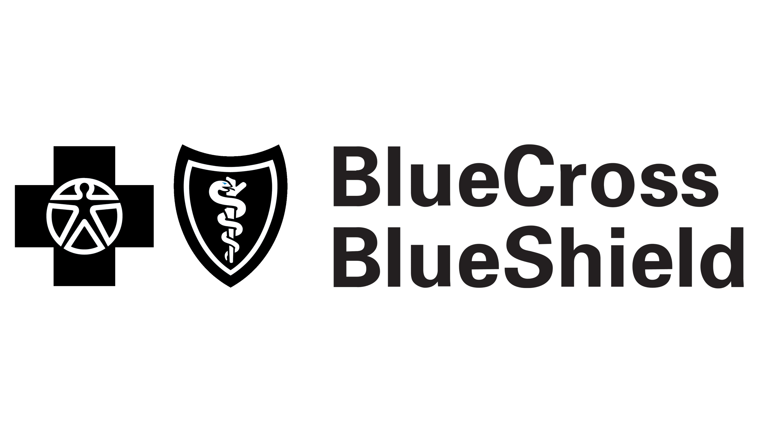 Blue Cross Blue Shield logo — a DeGroot Fine Art healthcare institution client receiving fine art consulting services.