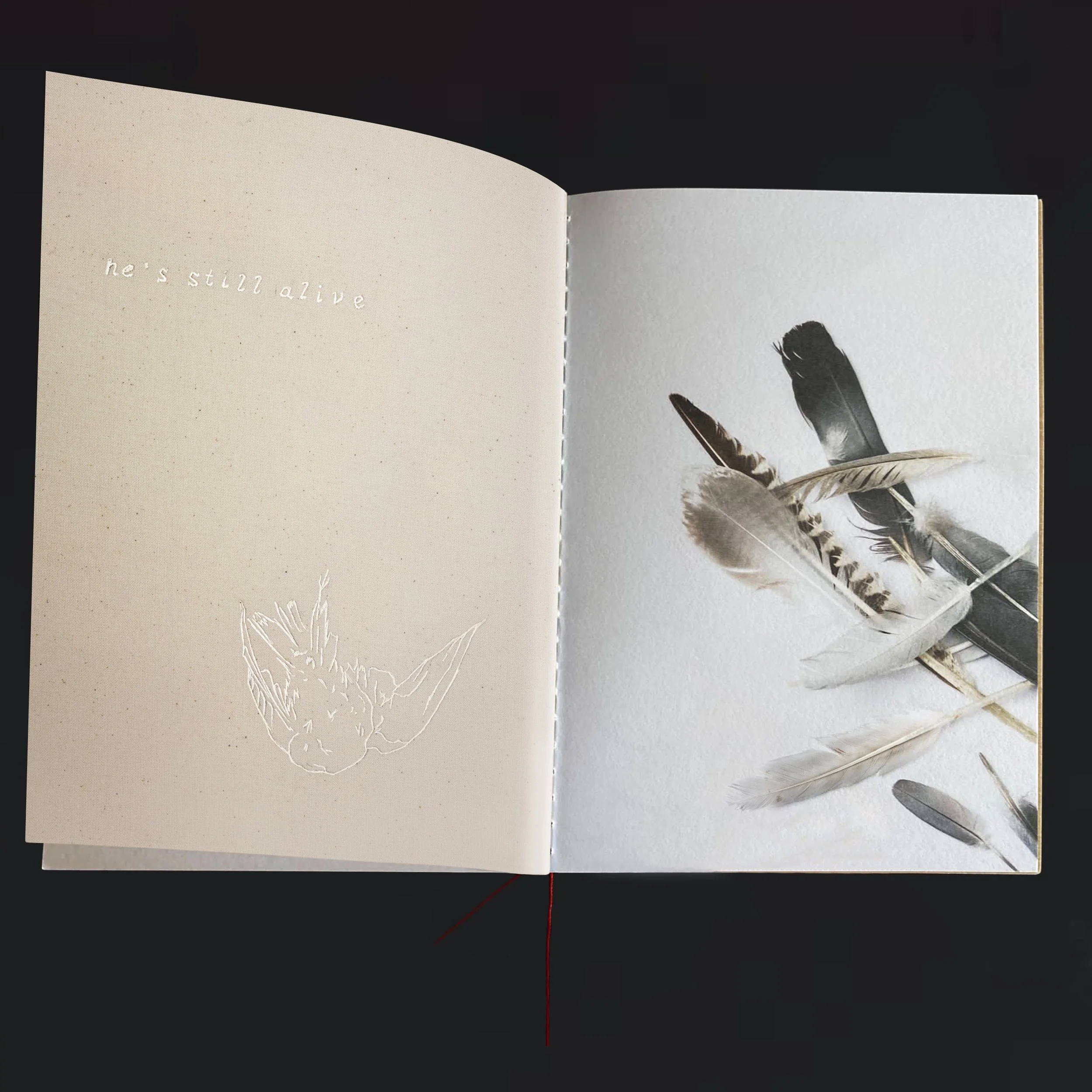An open notebook on a dark surface, with one page having the text 'he's still alive' and a faint outline of a hand holding a feather.