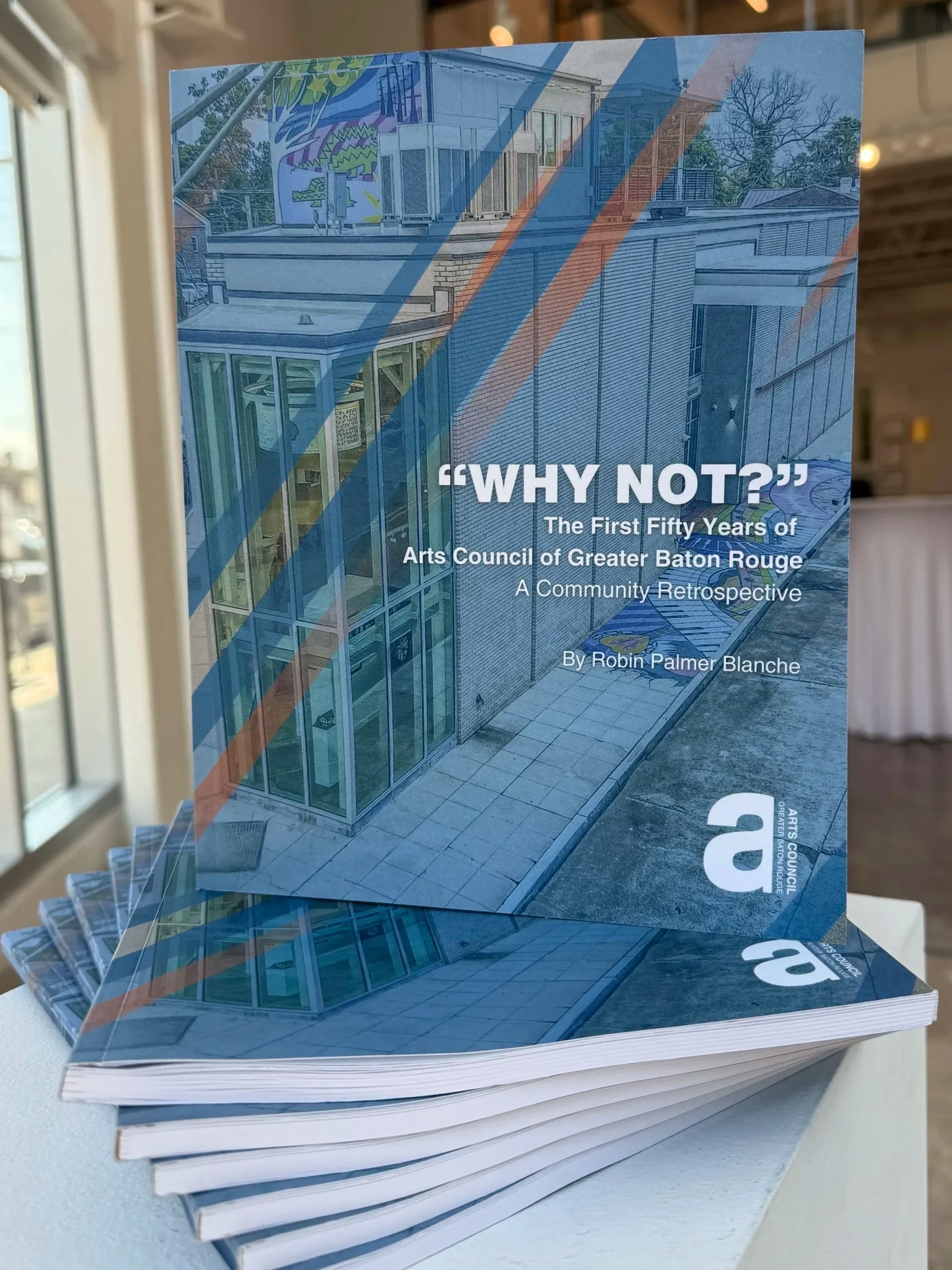 Why Not by Robin Palmer Blanche
