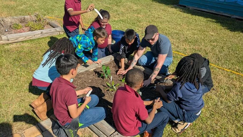 A group of children and an adult planting a small tree in a garden bed on a sunny day.