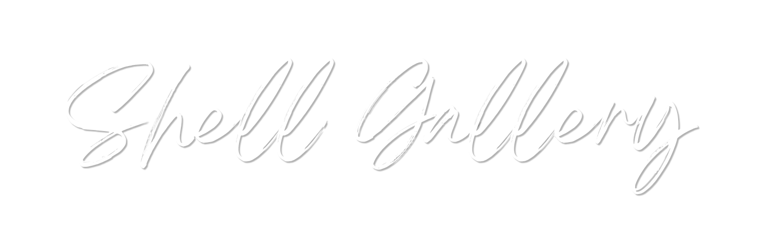 White cursive that reads 'Shell Galleries' on a black background.