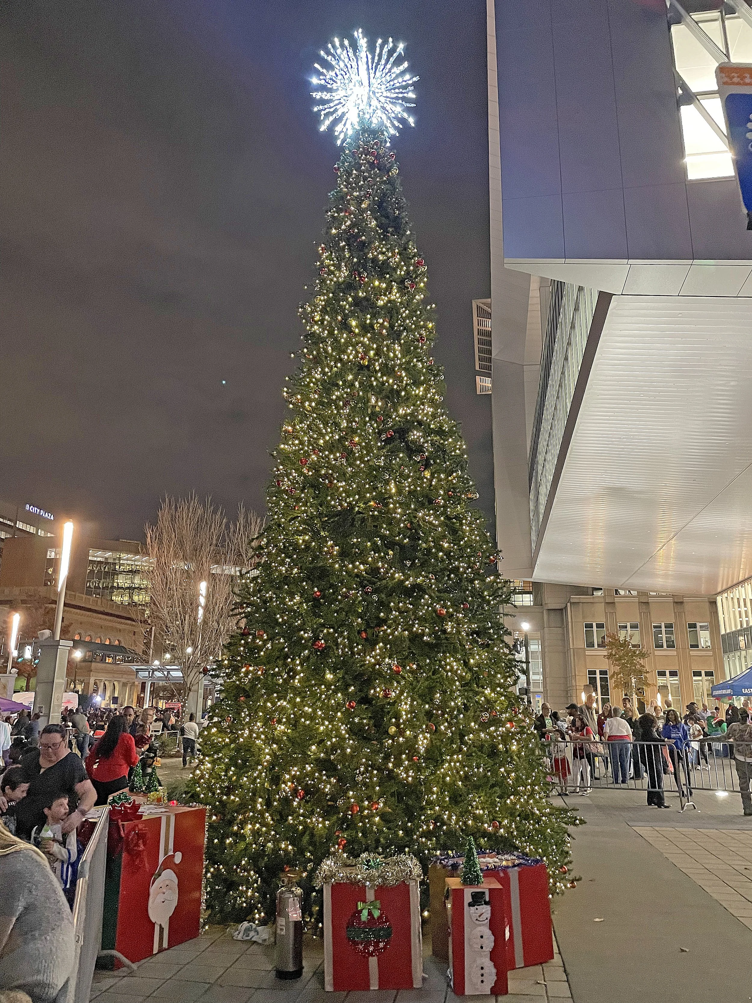 BRChristmasTree2022.2.jpg