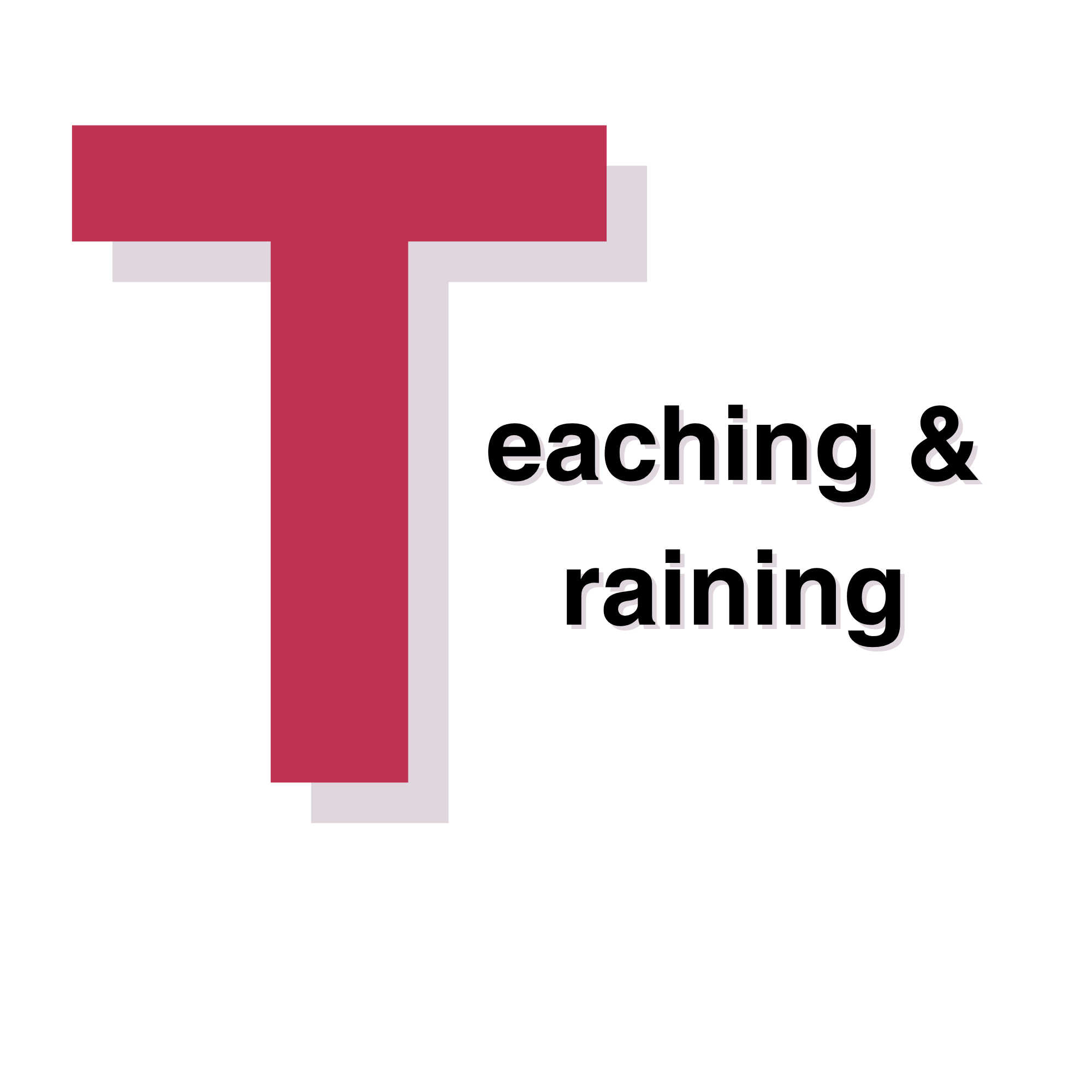 A logo with a large pink letter T and the words 'teaching &' in purple text to the right, and smaller text below that reads 'educational & relational'.