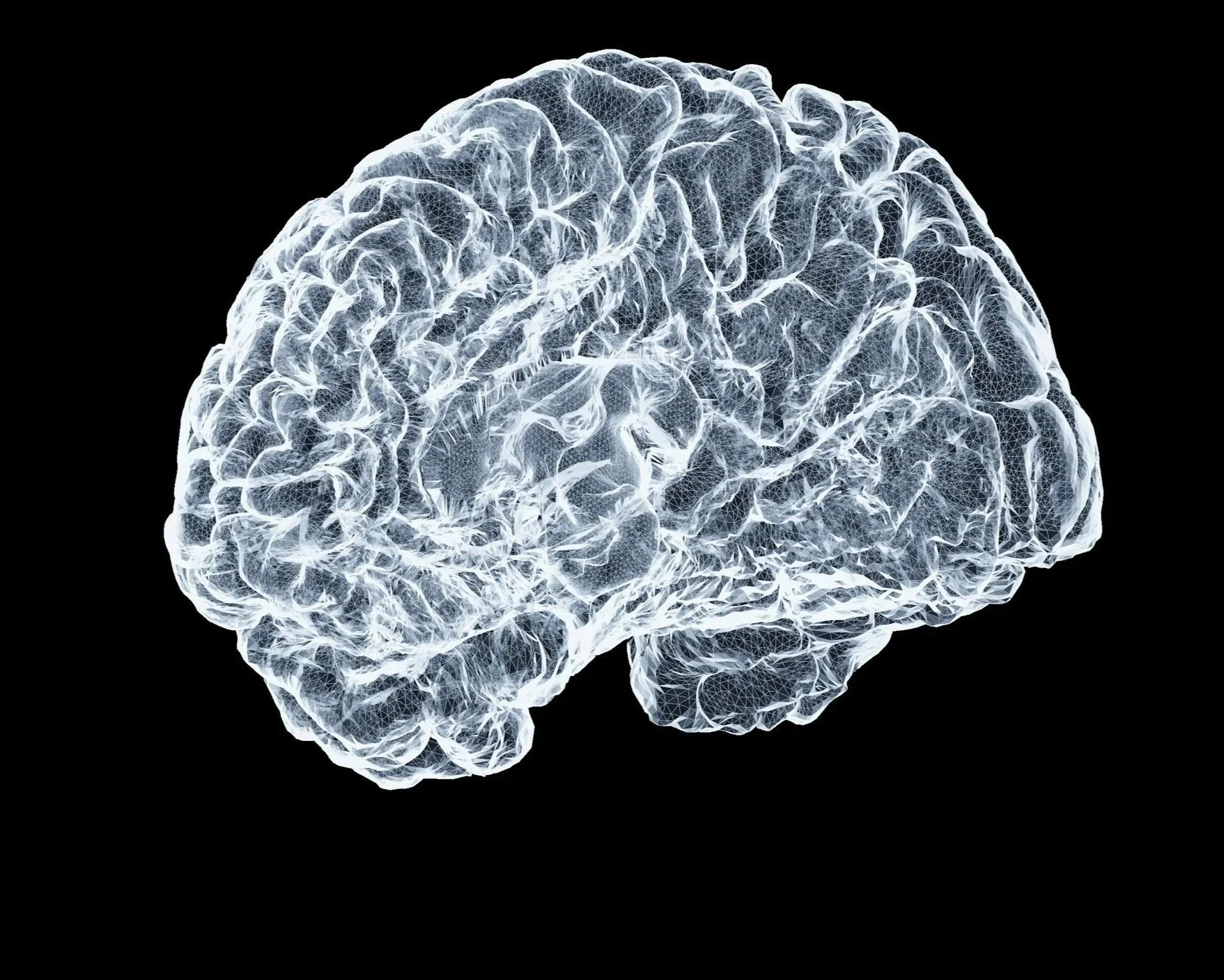 Digital illustration of a human brain with wireframe details against a black background.