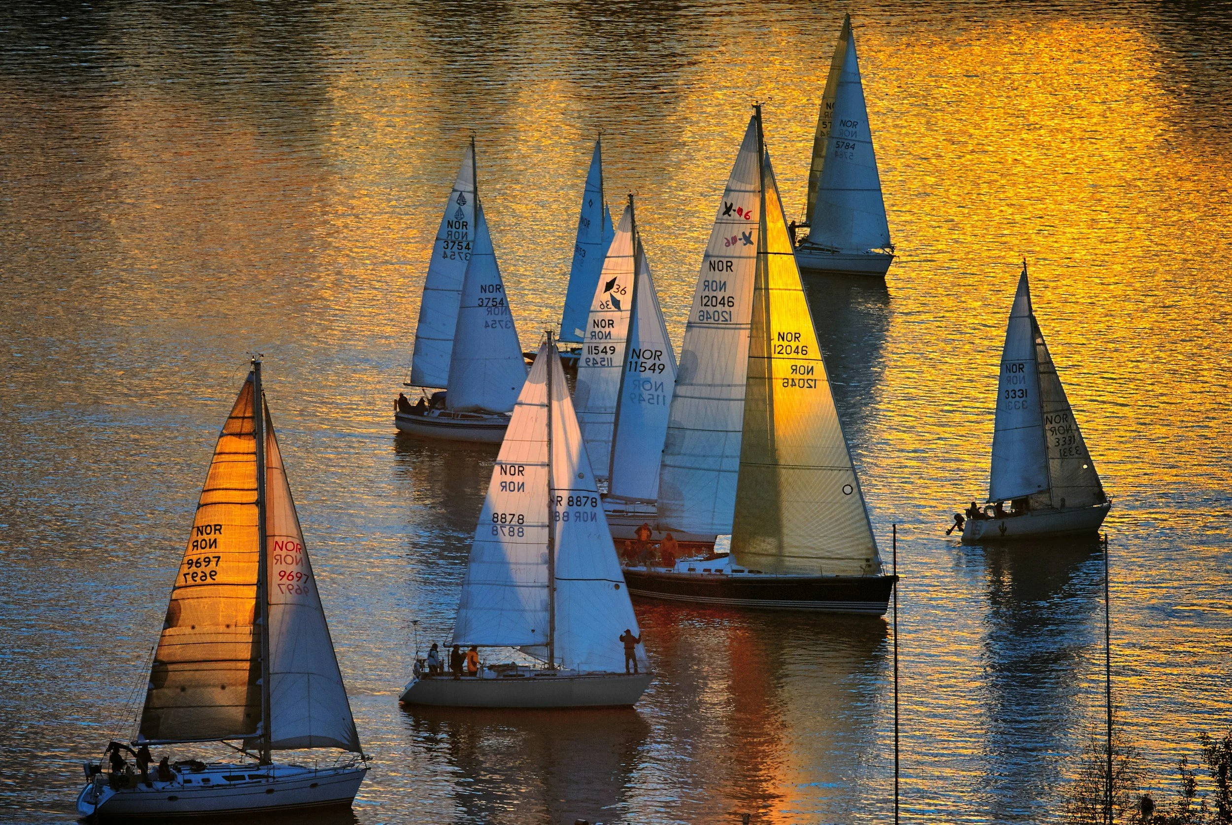 Moltissimi barche a vela con le vele spiegate navigano in acque calme al tramonto, con riflessi dorati sull'acqua.
