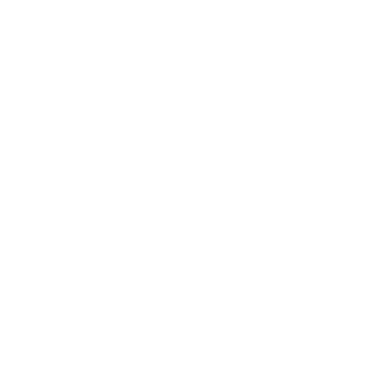 Rappresentazione stilizzata di tre persone che aiutano una persona a salire una scaletta verso una bandiera, simbolo di progresso o successo, su uno sfondo nero con onde stilizzate in basso.