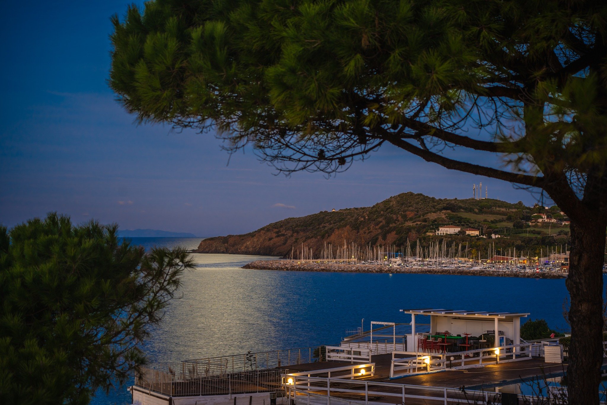 Vista serale di un porto con barche ormeggiate, acqua calma, e colline sullo sfondo, con alberi in primo piano.