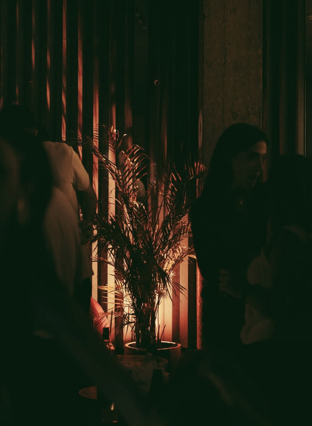 Screenshot 2026-03-19 at 8.34.09 PM.png