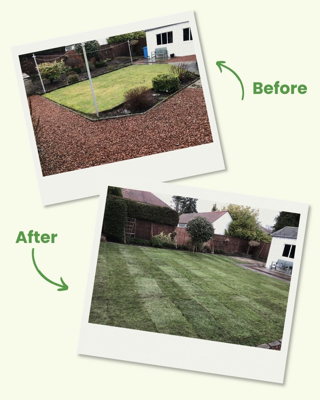 Before and after photos of a backyard where the lawn was replaced with a fresh, green, freshly mowed grass.