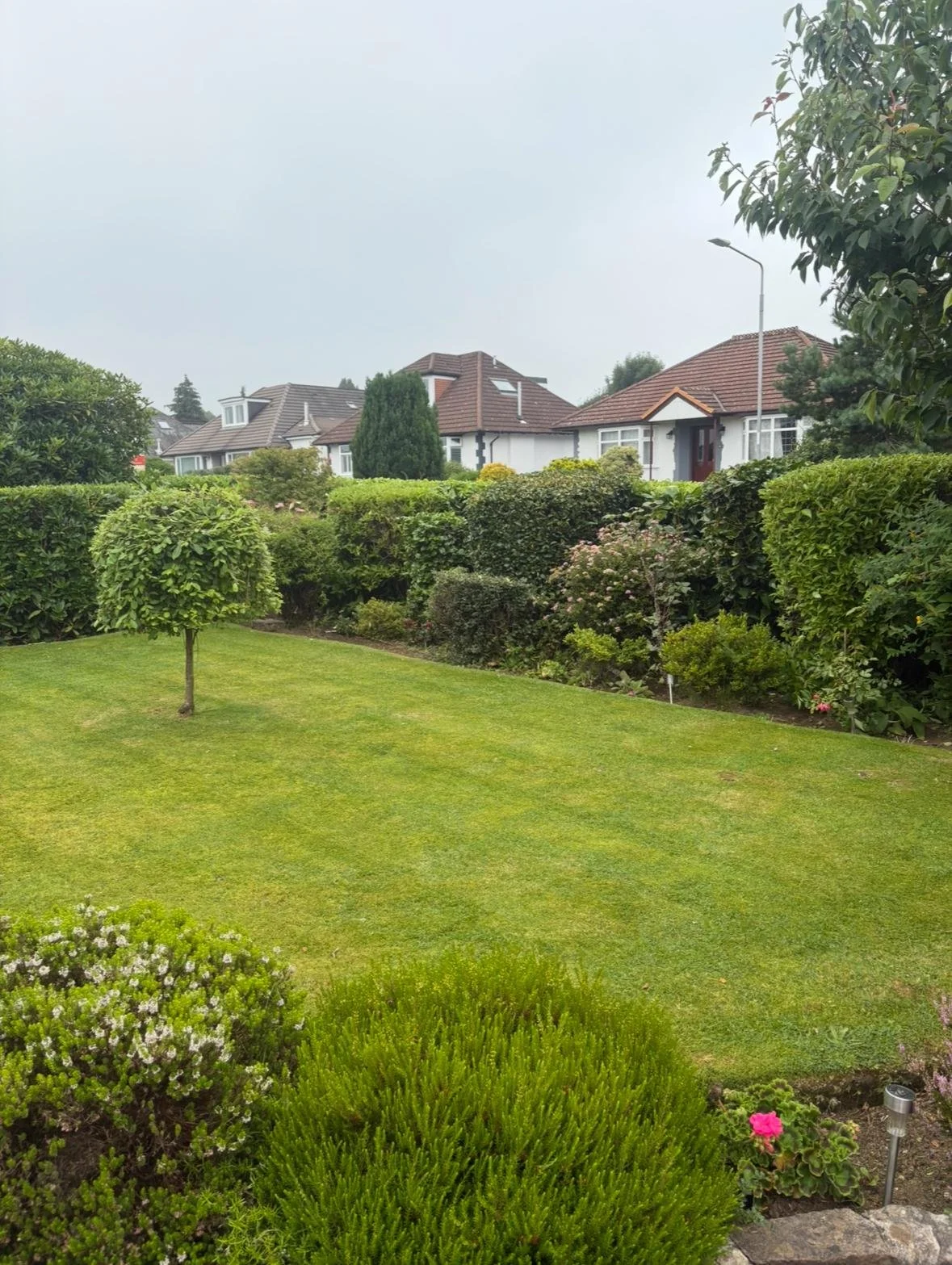 A well-maintained garden with a small tree, various shrubs, flowering plants, and a neatly cut lawn, with houses and a gray sky in the background.