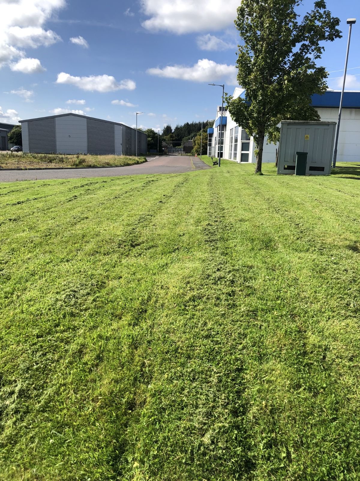 A well-maintained grassy area with tire tracks, a tree, a building with large windows, a trash bin, and a clear blue sky with scattered clouds.